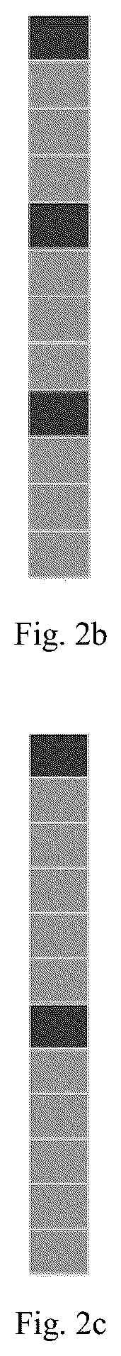 Patent US12108383 Figure 2 – Method and device for sending and receiving information after transforming frequency domain to a time domain using resource mapping