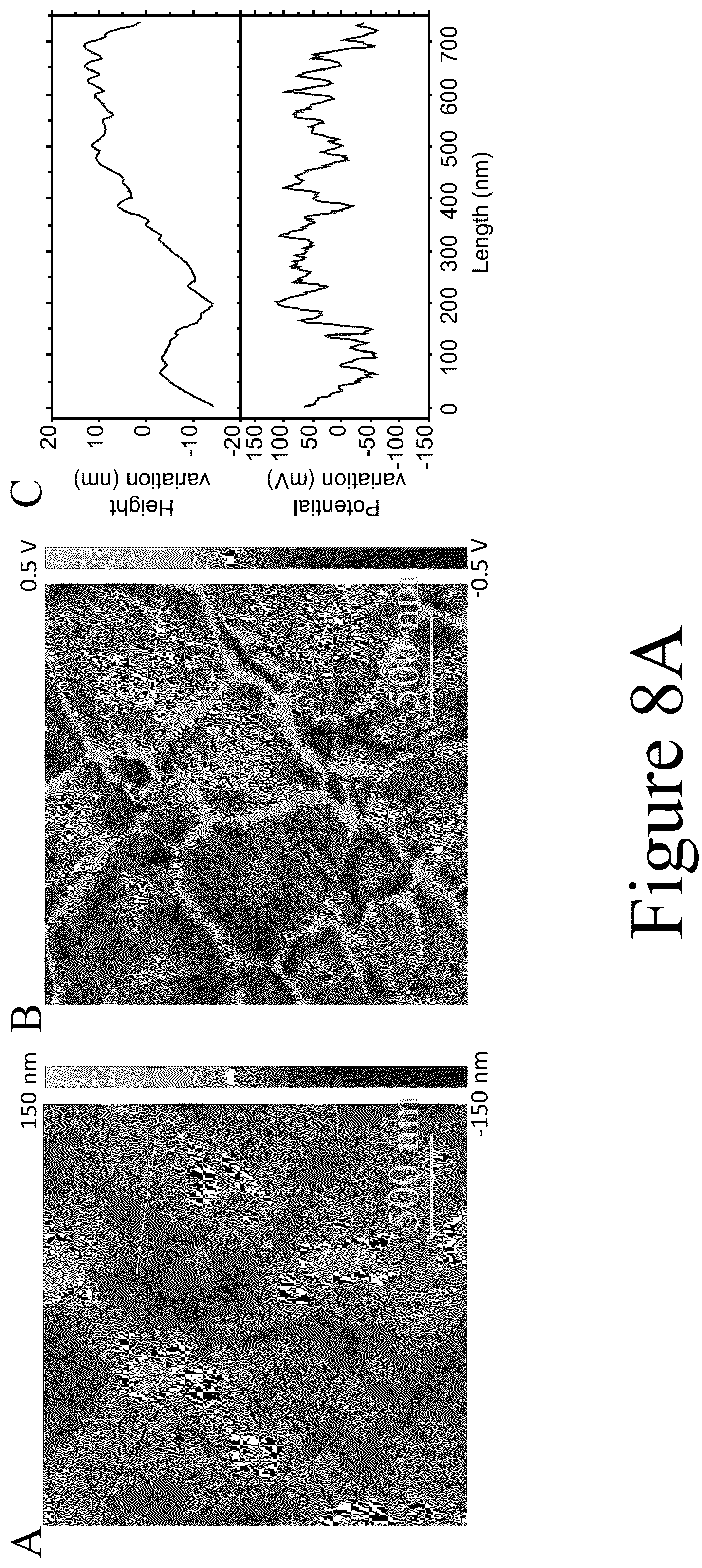 Patent US12108656 Figure 10 – Efficient and stable p-i-n structured perovskite solar cells