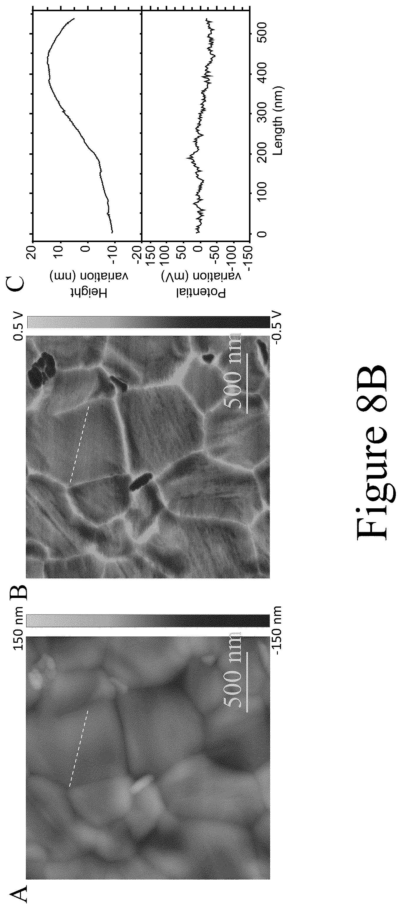 Patent US12108656 Figure 11 – Efficient and stable p-i-n structured perovskite solar cells