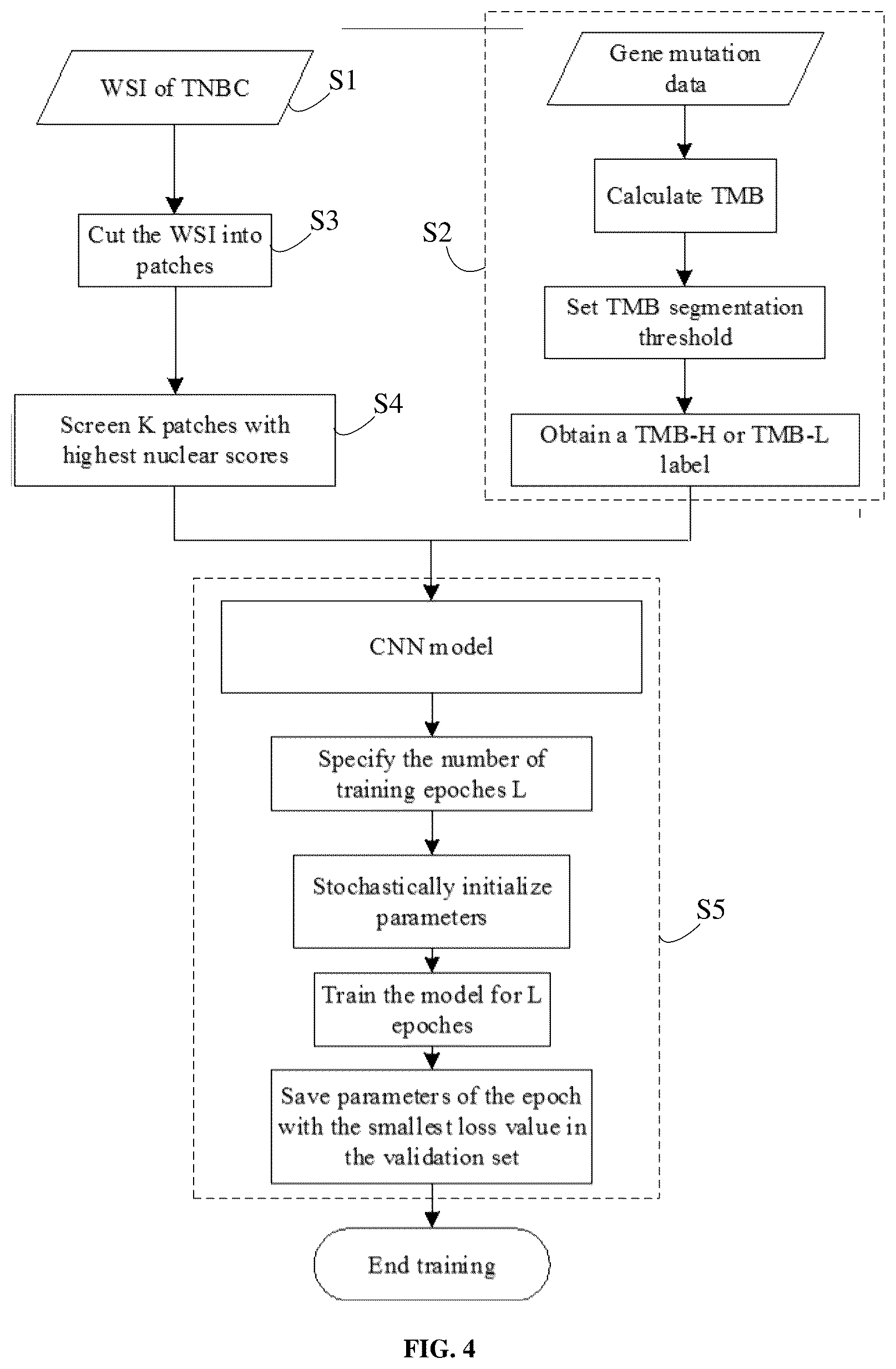 Patent US12112475 Figure 2 – Method and system for predicting tumor mutation burden (TMB) in triple negative breast cancer (TNBC) based on nuclear scores and histopathological whole slide images (WSIs)