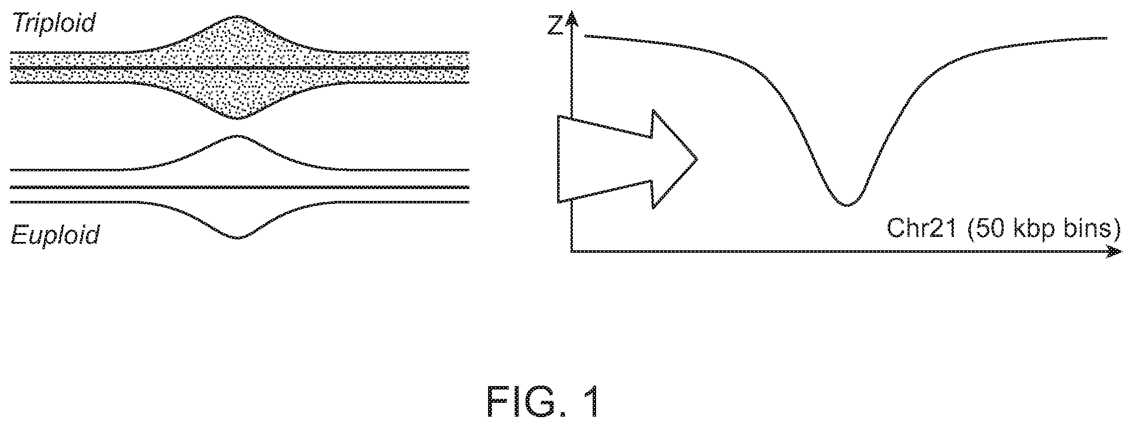 Patent US12112832 Figure 1 – Methods and processes for non-invasive assessment of genetic variations