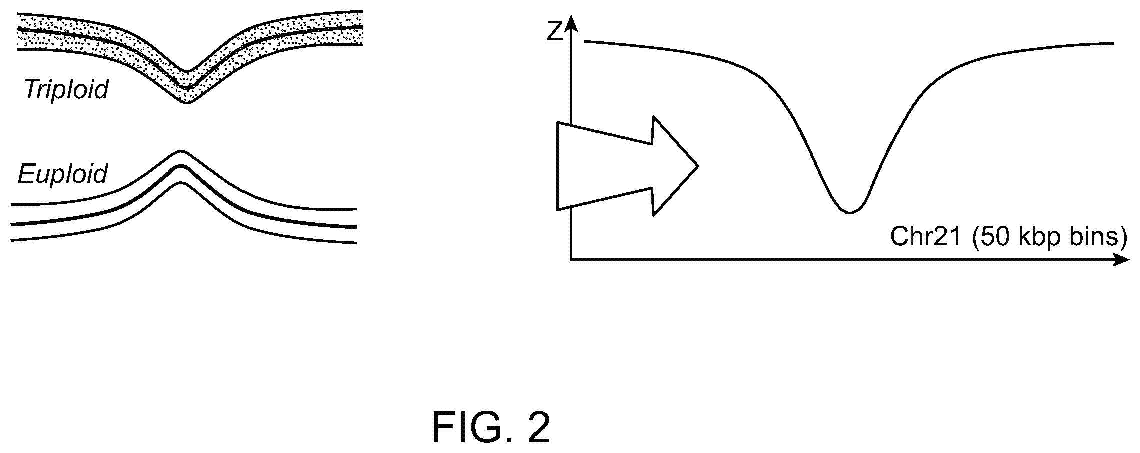 Patent US12112832 Figure 2 – Methods and processes for non-invasive assessment of genetic variations
