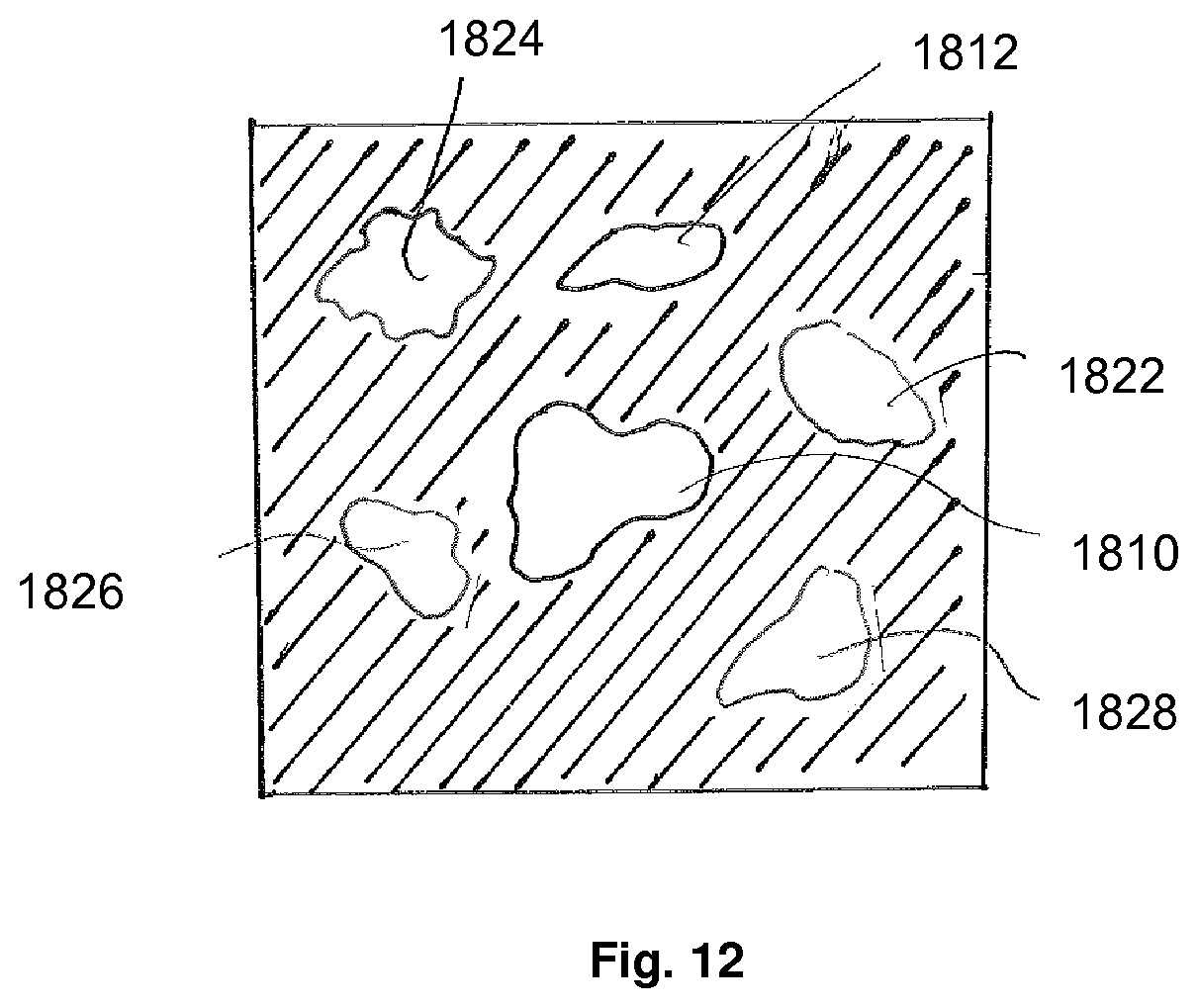 Patent US12112845 Figure 10 – Compartmentalized dynamic atlas