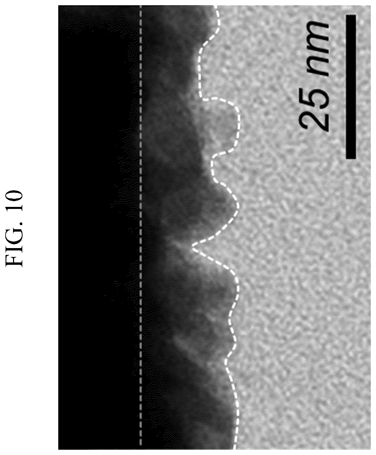 Patent US12112866 Figure 9 – Stacked structures for stretchable device, stretchable devices, methods of manufacturing the same, display panels, sensors, and electronic devices
