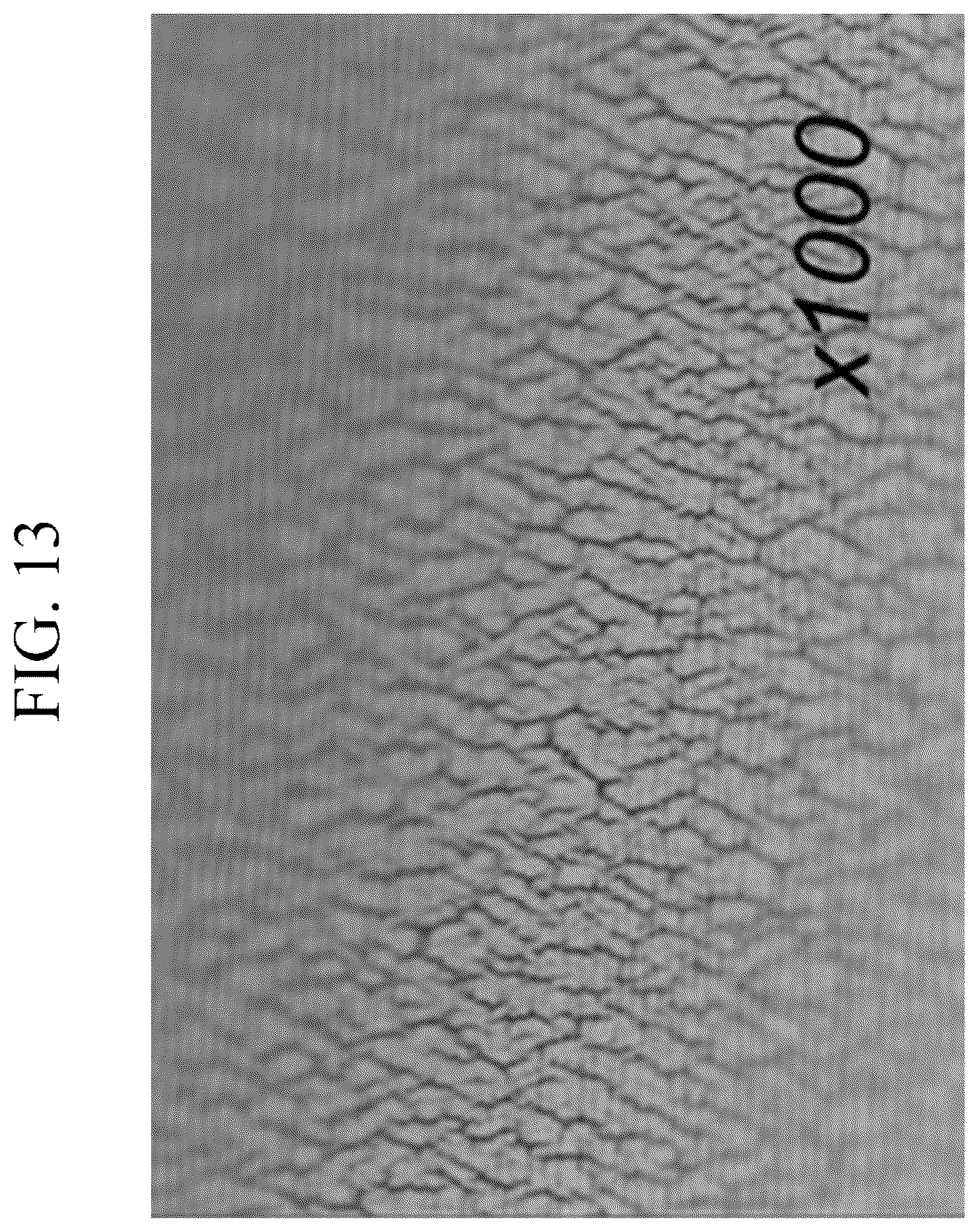 Patent US12112866 Figure 12 – Stacked structures for stretchable device, stretchable devices, methods of manufacturing the same, display panels, sensors, and electronic devices