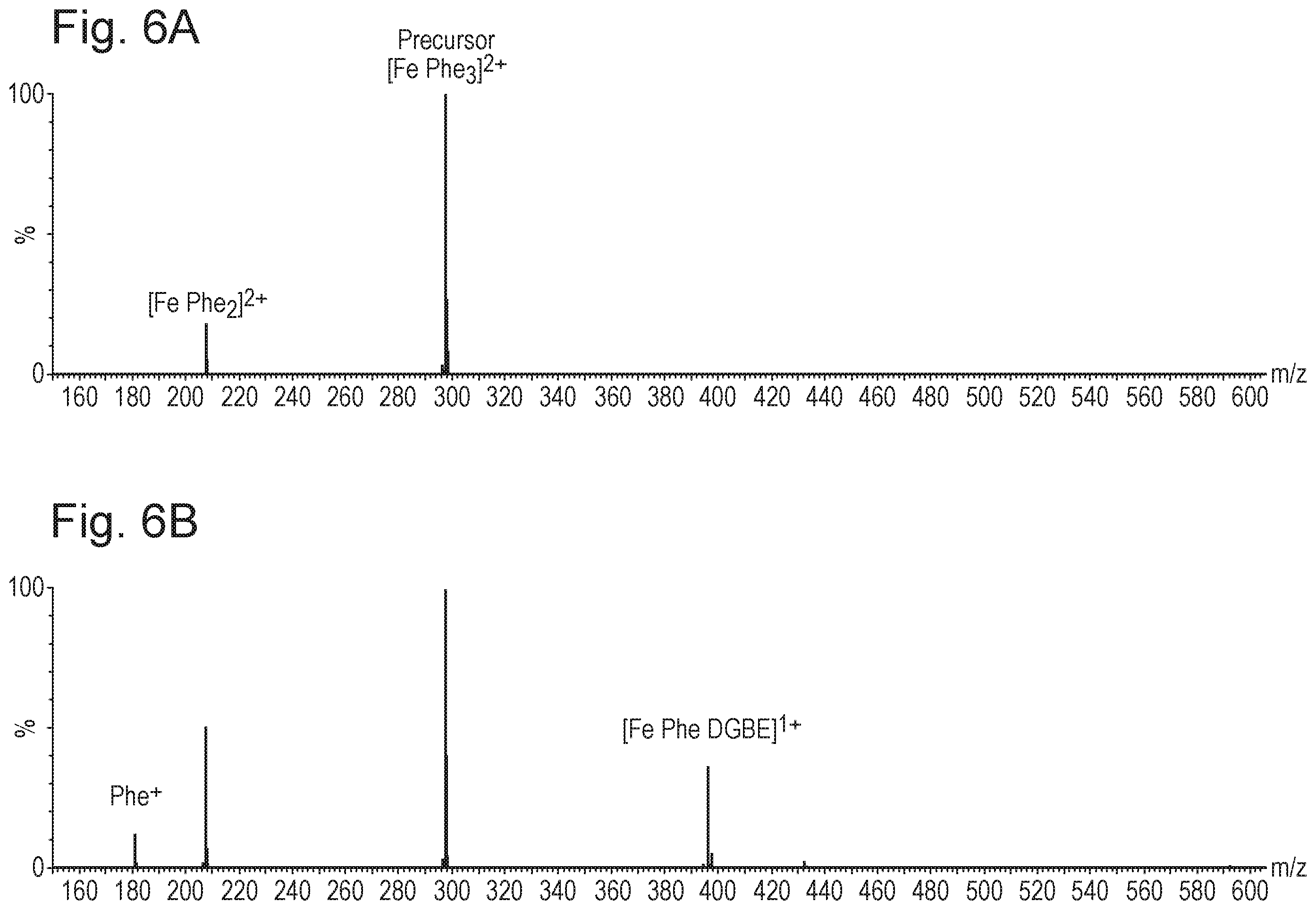 Patent US12112935 Figure 6 – Ion guide
