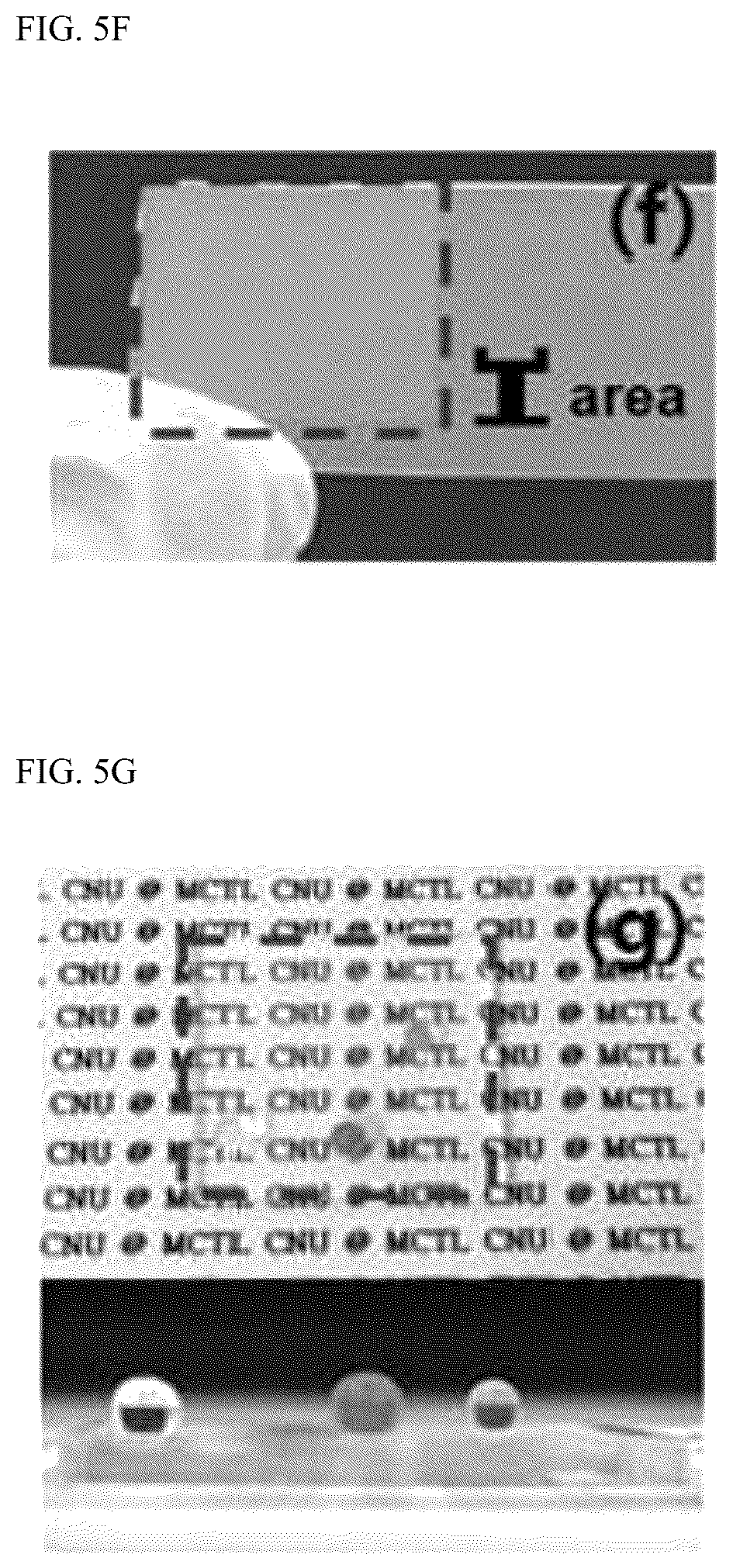 Patent US12112941 Figure 11 – Selective liquid sliding surface and method of fabricating the same