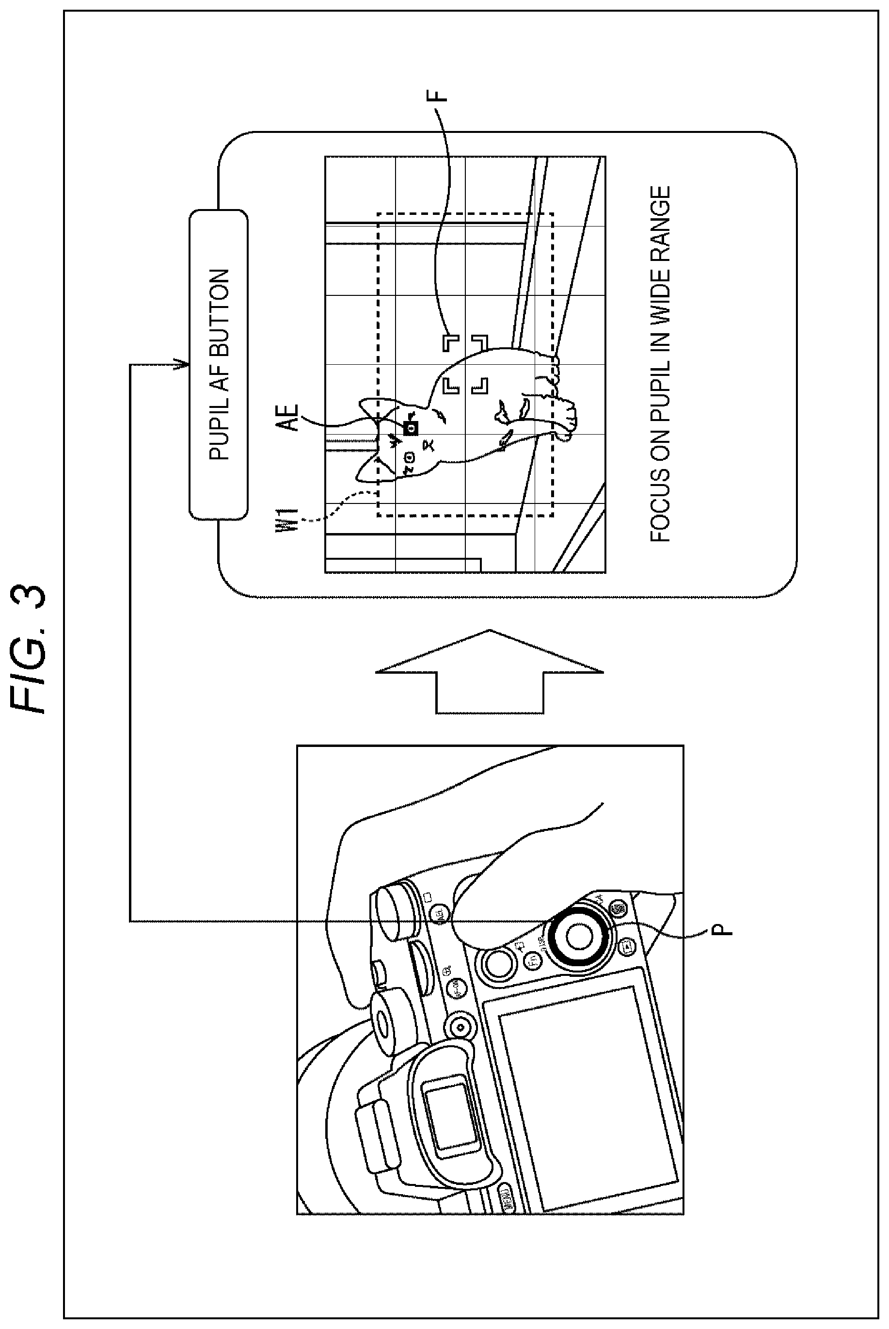 Patent US12120420 Figure 3 – Imaging device, imaging method, and program