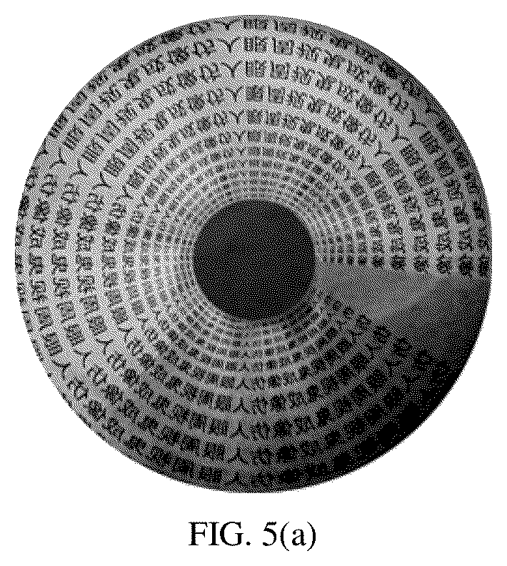 Patent US12126911 Figure 5 – Omnidirectional ghost imaging method and system based on the mechanism of bio-inspired retina-like