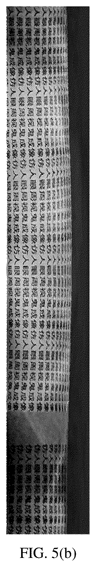 Patent US12126911 Figure 6 – Omnidirectional ghost imaging method and system based on the mechanism of bio-inspired retina-like