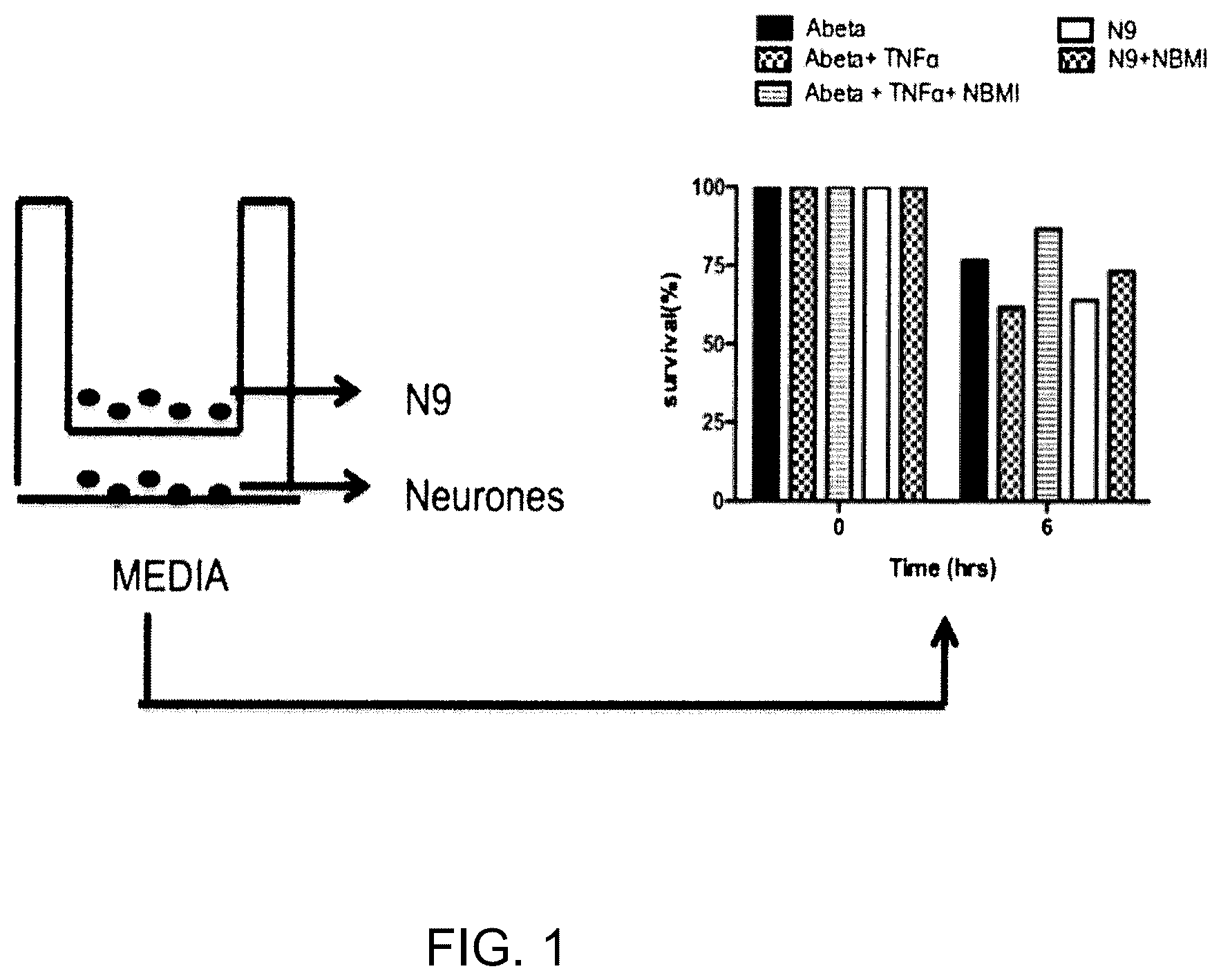 Patent US12128017 Figure 1 – N,N-bis-2-mercaptoethyl isophthalamide for the treatment of neurodegenerative diseases