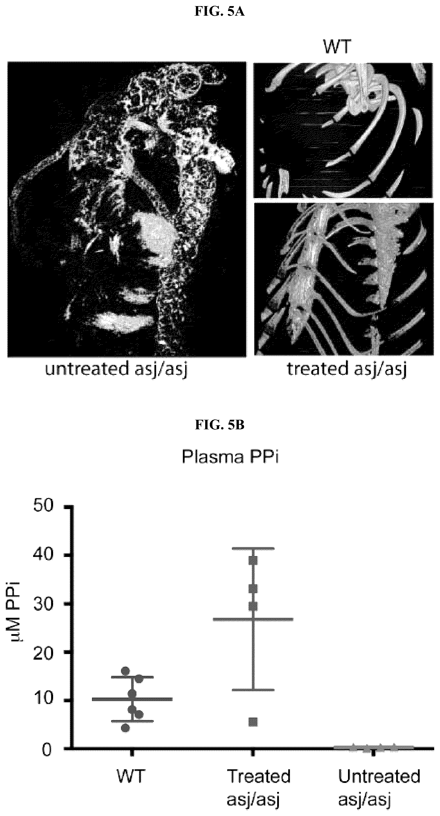Patent US12128087 Figure 16 – Compositions for treating pathological calcification conditions, and methods using same