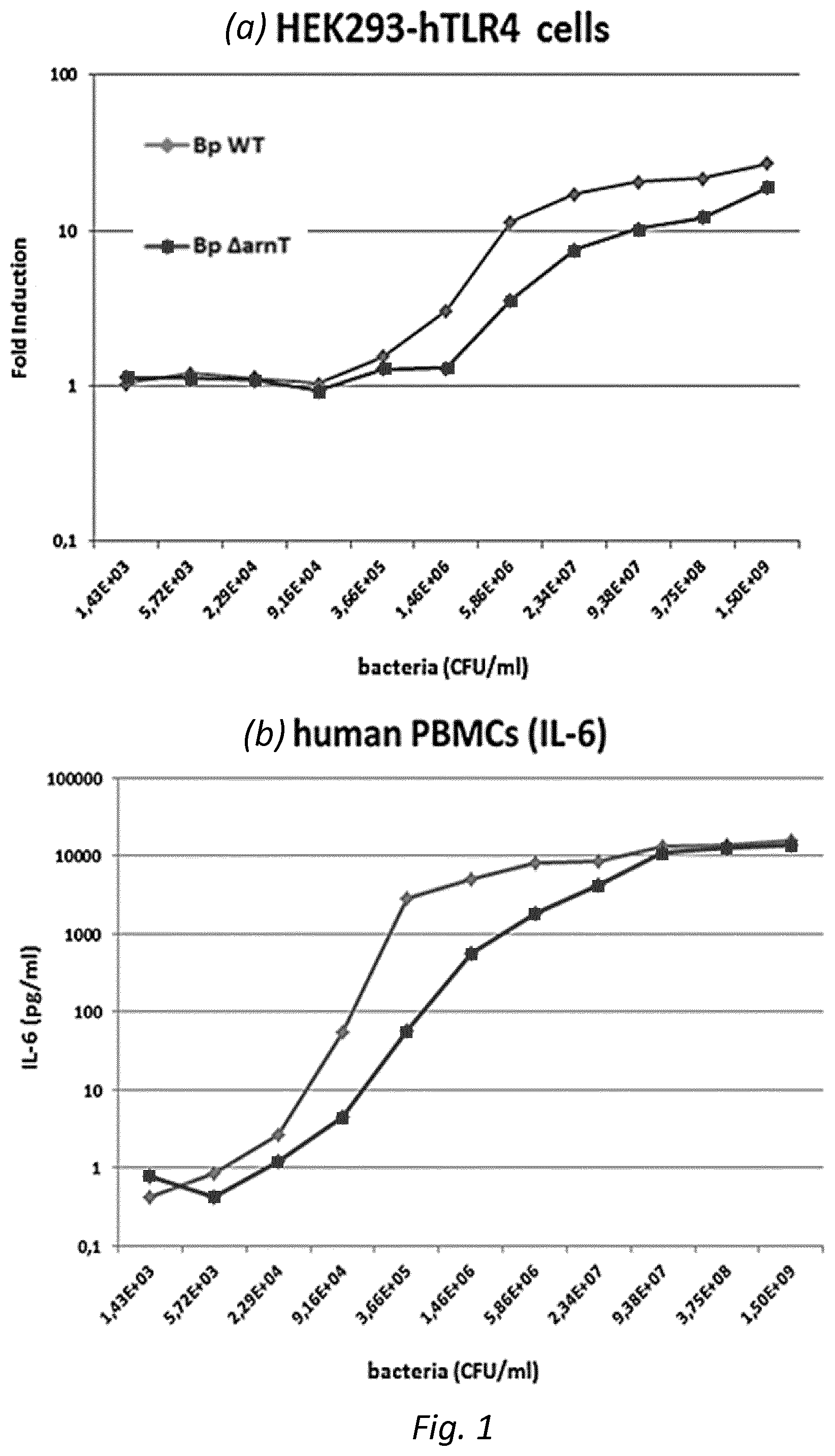 Patent US12128094 Figure 1 – Immunogenic compositions comprising OMVs, an acellular pertussis antigen, a tetanus toxoid and a diphtheria toxoid