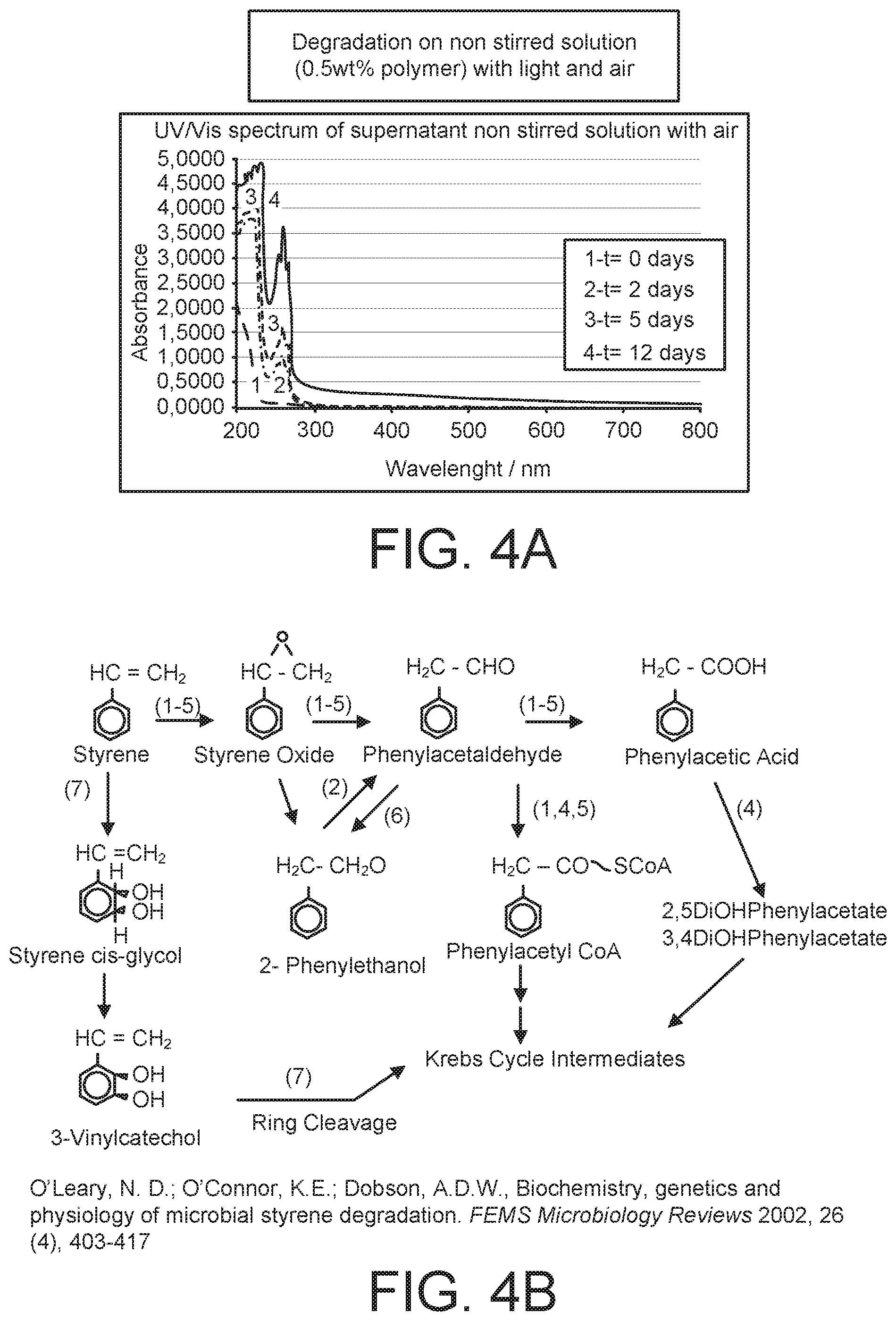 Patent US12128144 Figure 4 – Process for the production of biodegradable superabsorbent polymer with high absorbency under load based on styrene maleic acid copolymers and biopolymer