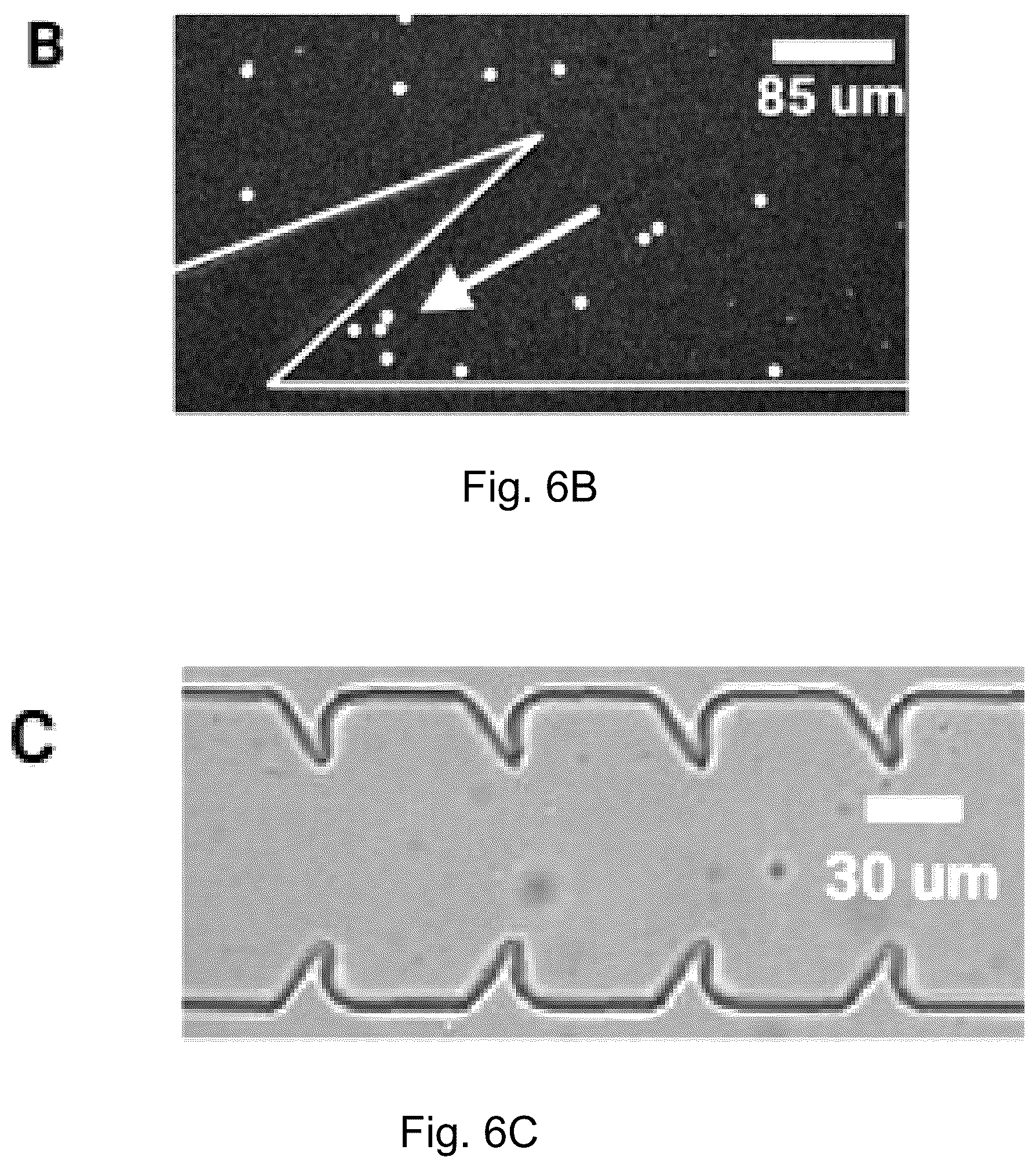 Patent US12128189 Figure 5 – Anti-infection fluidic channel