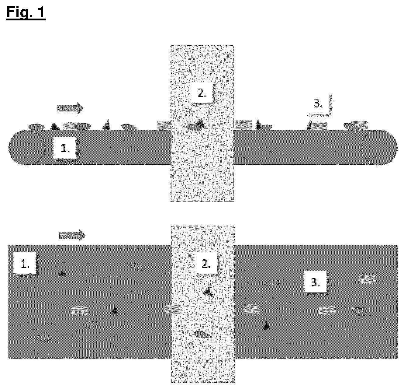 Patent US12128447 — Method for separating and classifying waste, in particular packaging — Figure 1