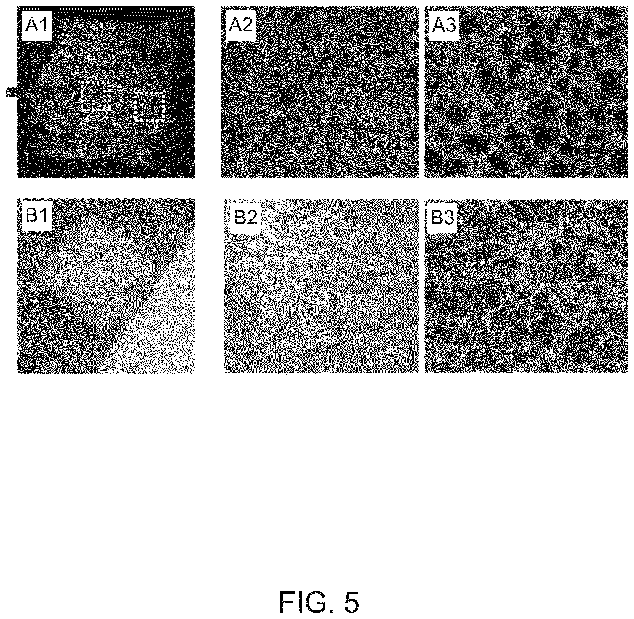 Patent US12128626 Figure 5 – Method for producing three-dimensional hydrogel structures and device for the layerwise building-up of such hydrogel structures