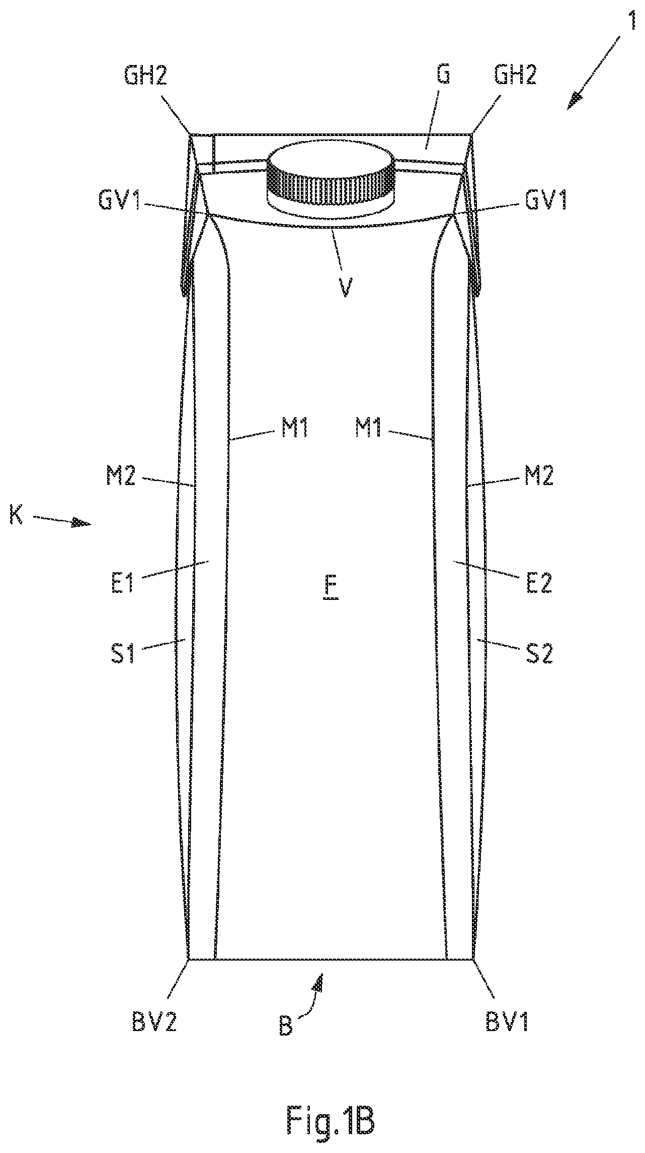 Patent US12129085 Figure 2 – Package with stress-relief panels