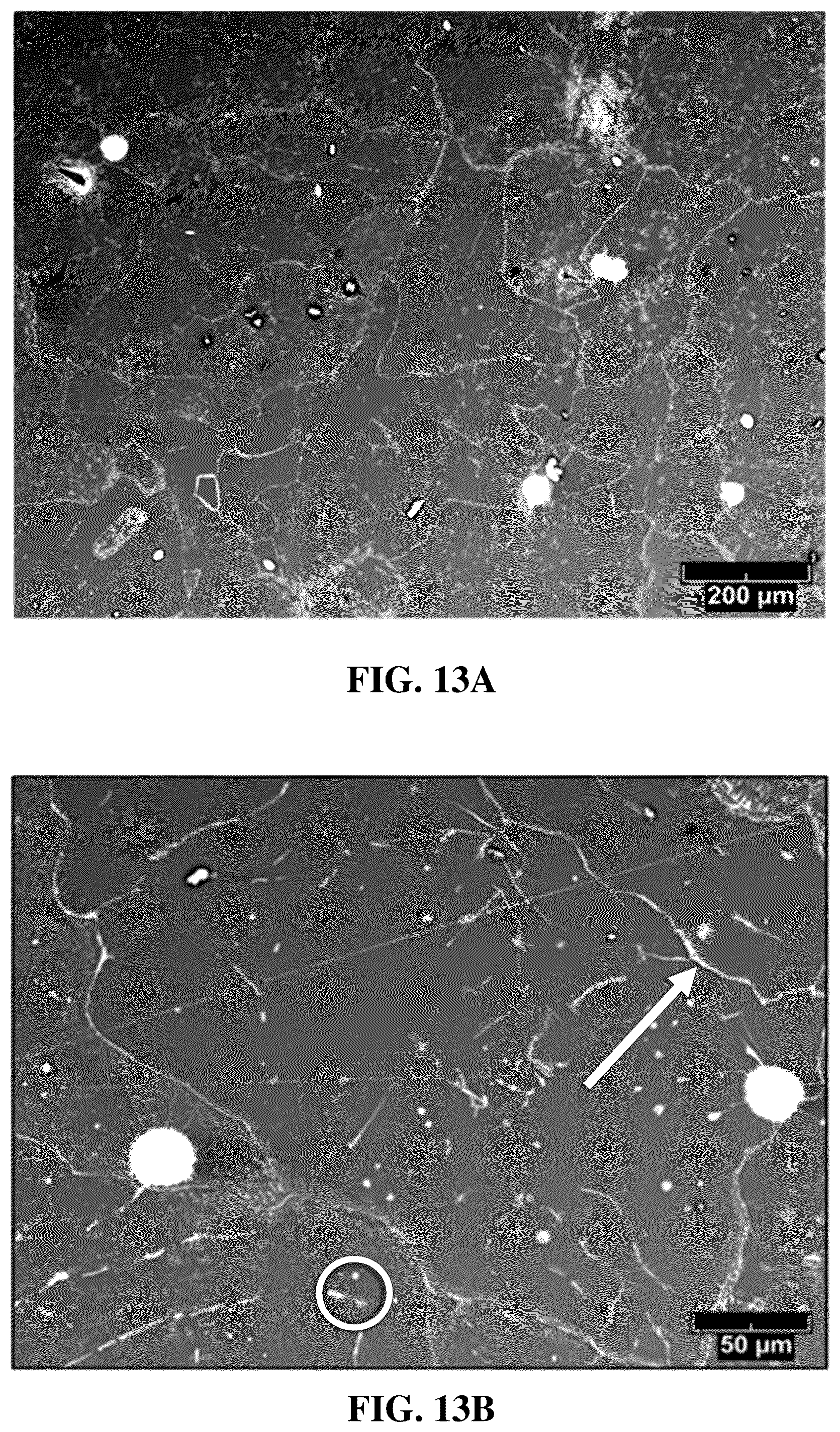 Patent US12129172 Figure 16 – Hydrogen reactor