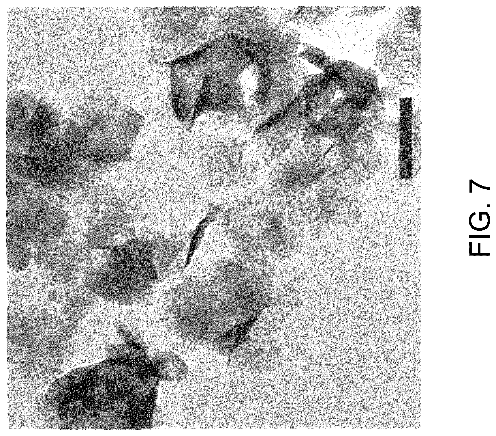 Patent US12129184 Figure 4 – Molybdenum sulfide powder and method for producing same, heavy-metal adsorbent, photothermal conversion material, distillation method, oxygen reduction catalyst, and catalyst ink