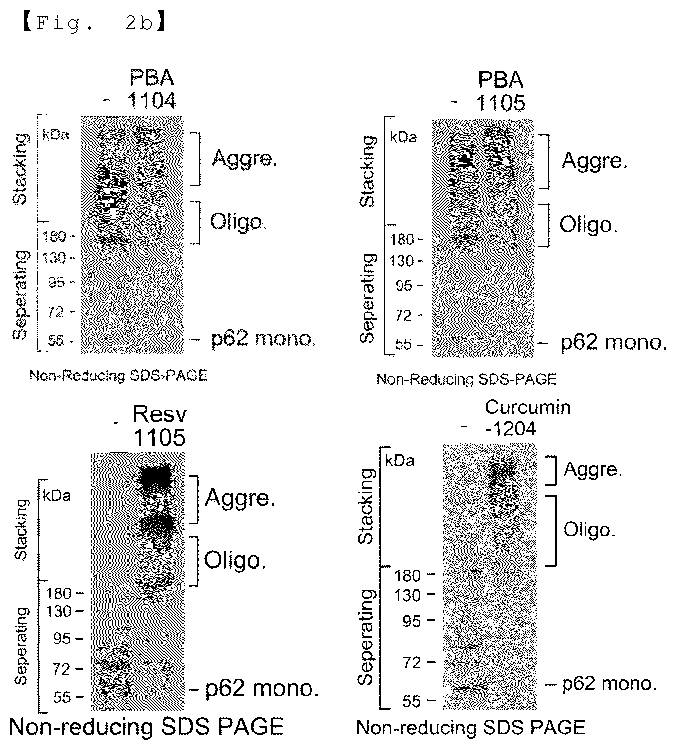 Patent US12129218 Figure 3 – AUTOTAC chimeric compound, and composition for preventing, ameliorating or treating diseases through targeted protein degradation comprising the same