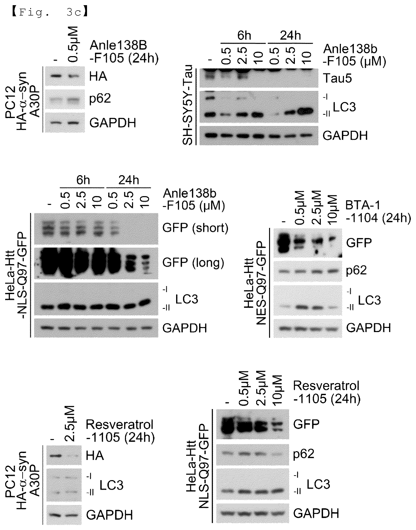 Patent US12129218 Figure 7 – AUTOTAC chimeric compound, and composition for preventing, ameliorating or treating diseases through targeted protein degradation comprising the same