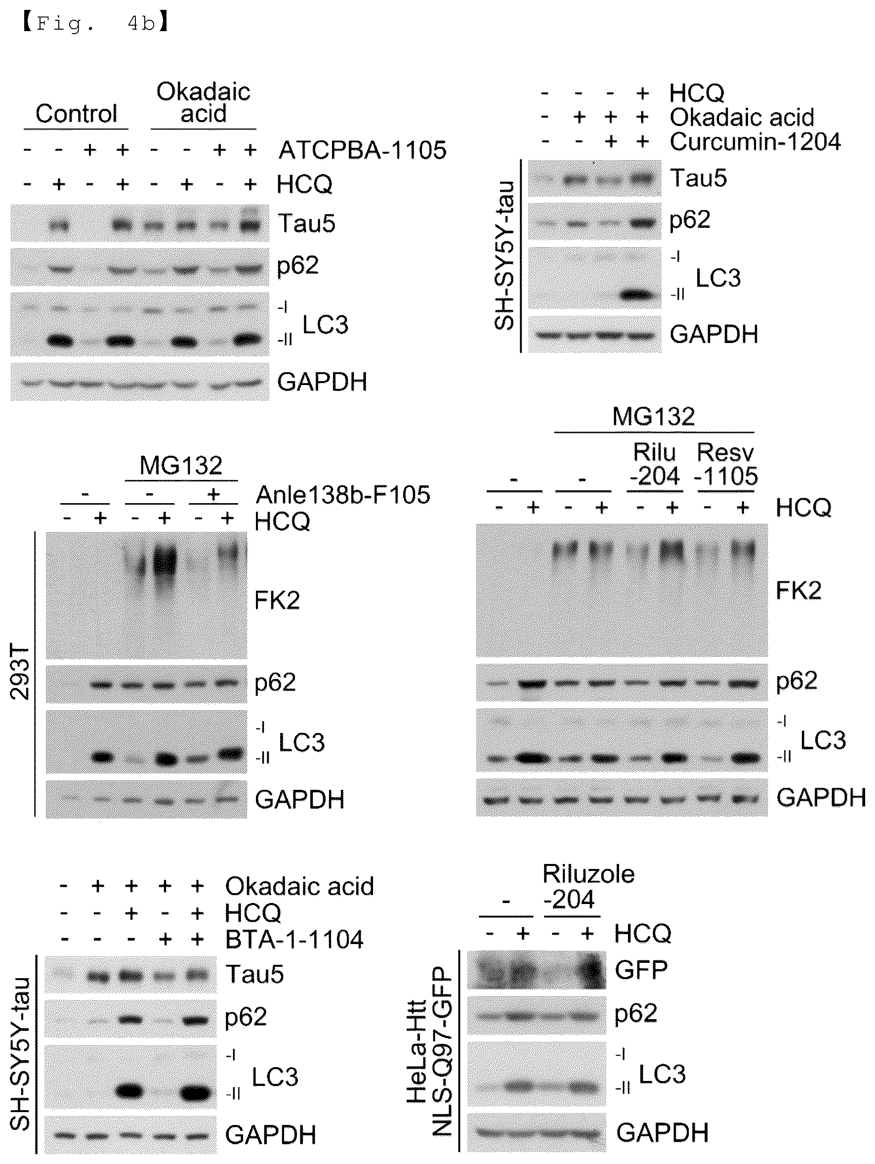 Patent US12129218 Figure 9 – AUTOTAC chimeric compound, and composition for preventing, ameliorating or treating diseases through targeted protein degradation comprising the same