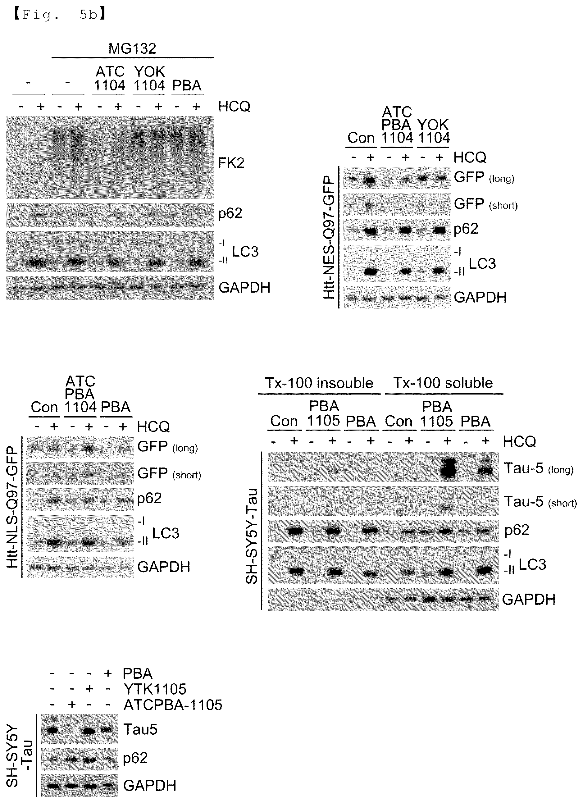 Patent US12129218 Figure 11 – AUTOTAC chimeric compound, and composition for preventing, ameliorating or treating diseases through targeted protein degradation comprising the same