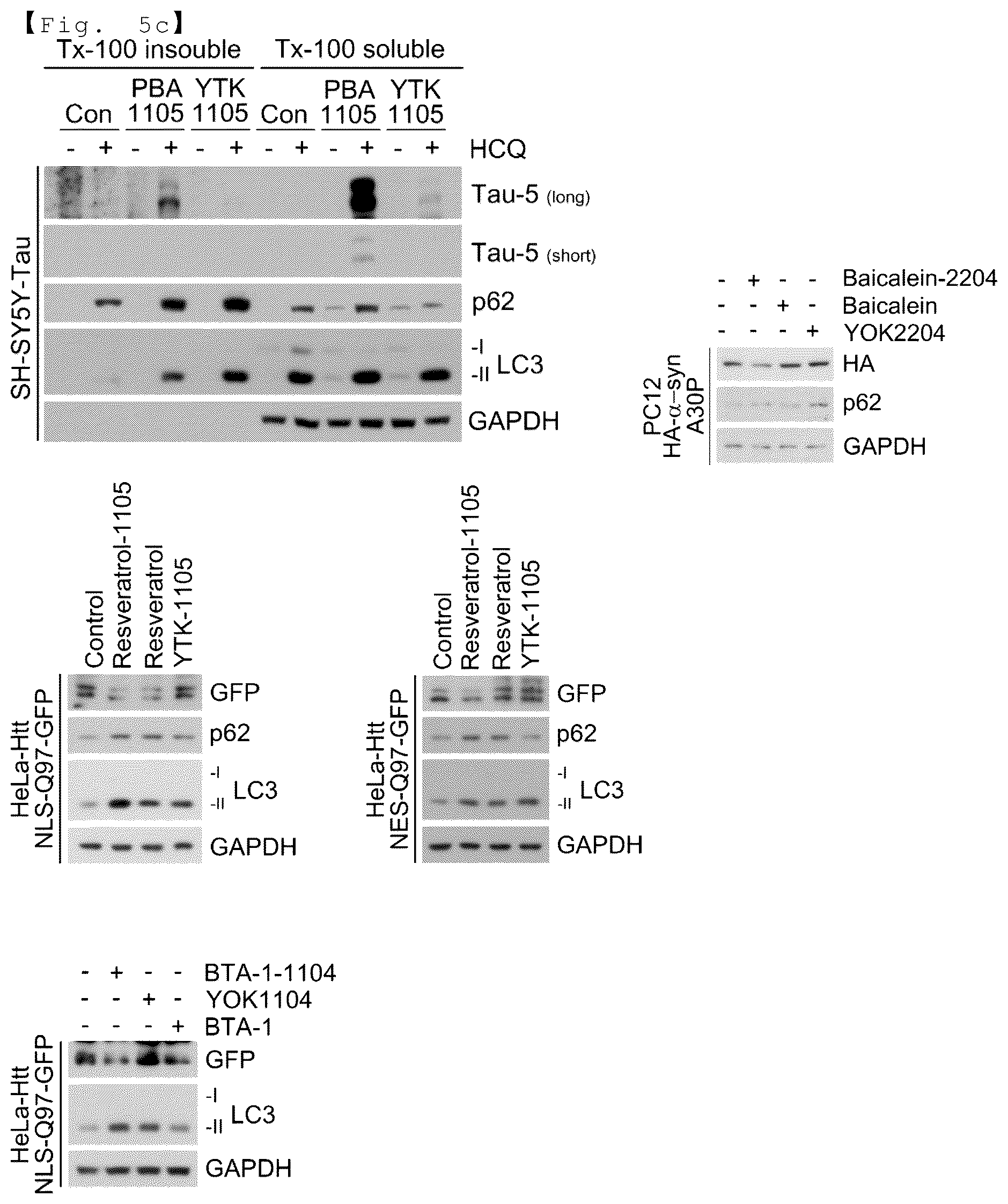 Patent US12129218 Figure 12 – AUTOTAC chimeric compound, and composition for preventing, ameliorating or treating diseases through targeted protein degradation comprising the same