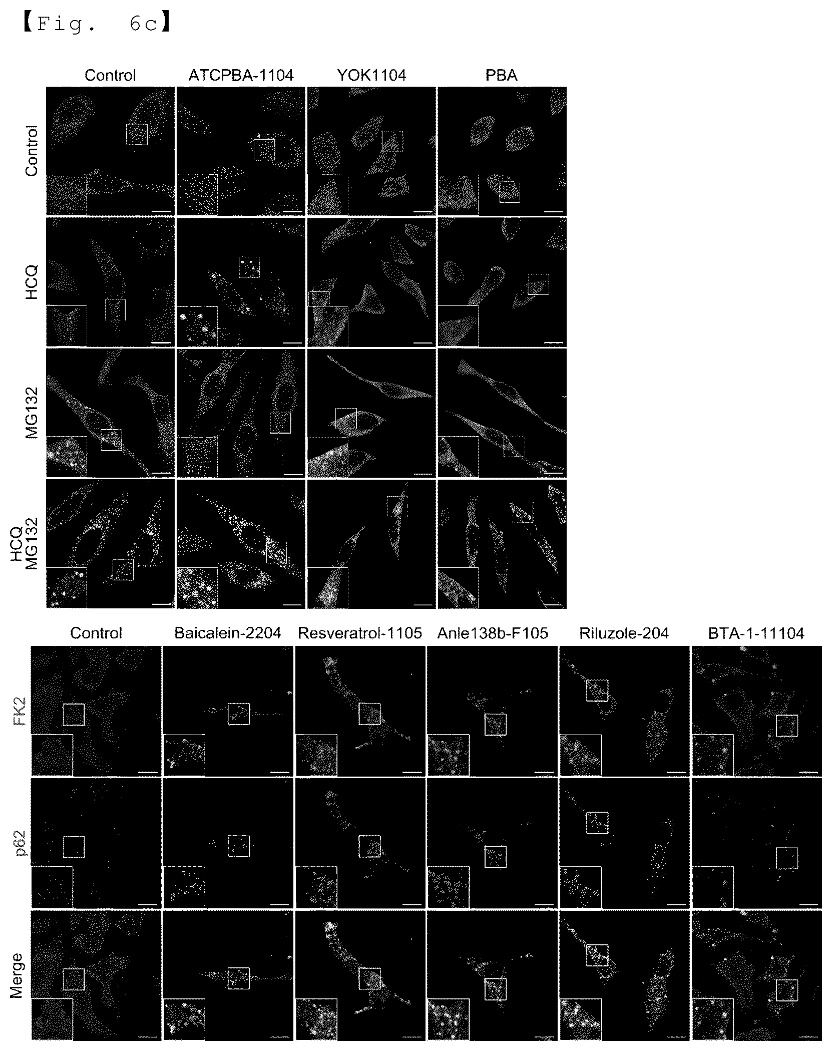 Patent US12129218 Figure 15 – AUTOTAC chimeric compound, and composition for preventing, ameliorating or treating diseases through targeted protein degradation comprising the same