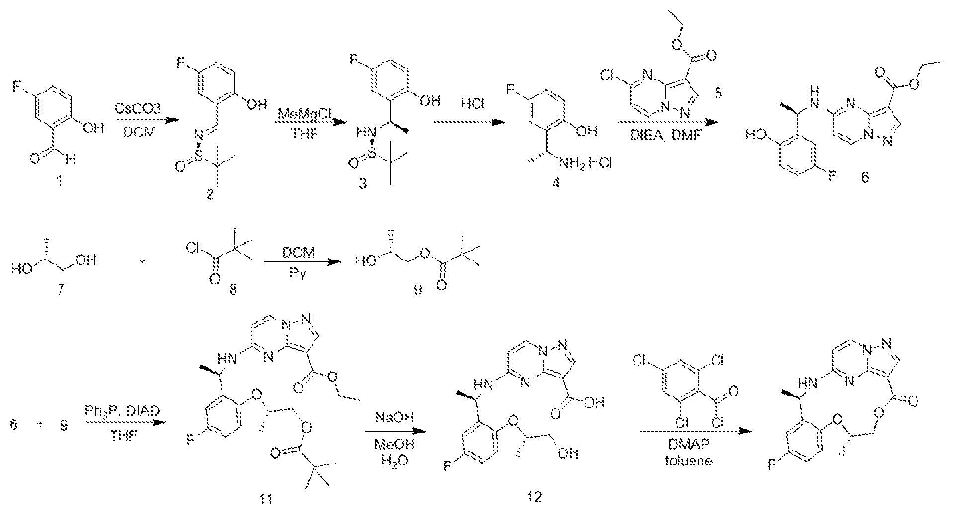 Patent US12129258 Figure 1 – Diaryl macrocyclic compound and pharmaceutical composition, and use thereof