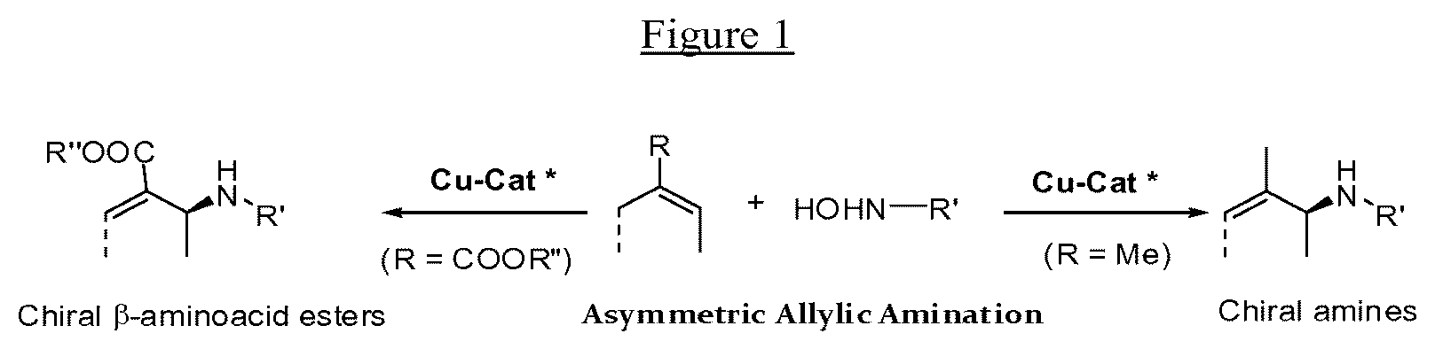 Patent US12129268 Figure 1 – Chiral N-substituted allylic amine compounds