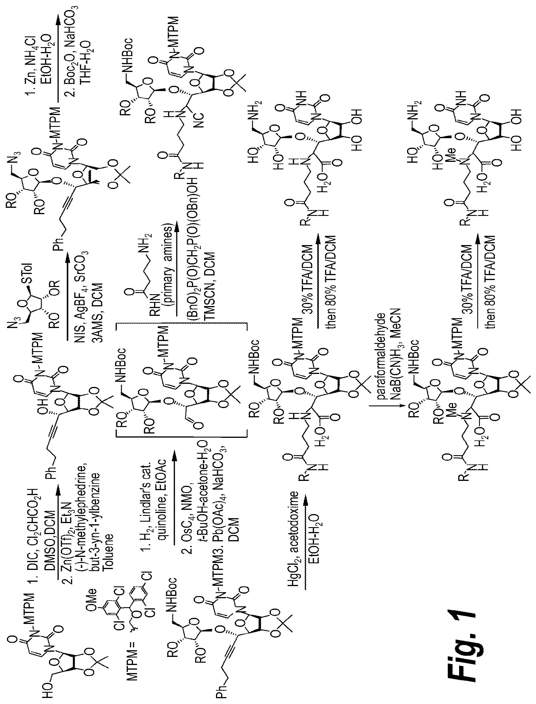 Patent US12129272 Figure 1 – Glycosyltransferase inhibitors