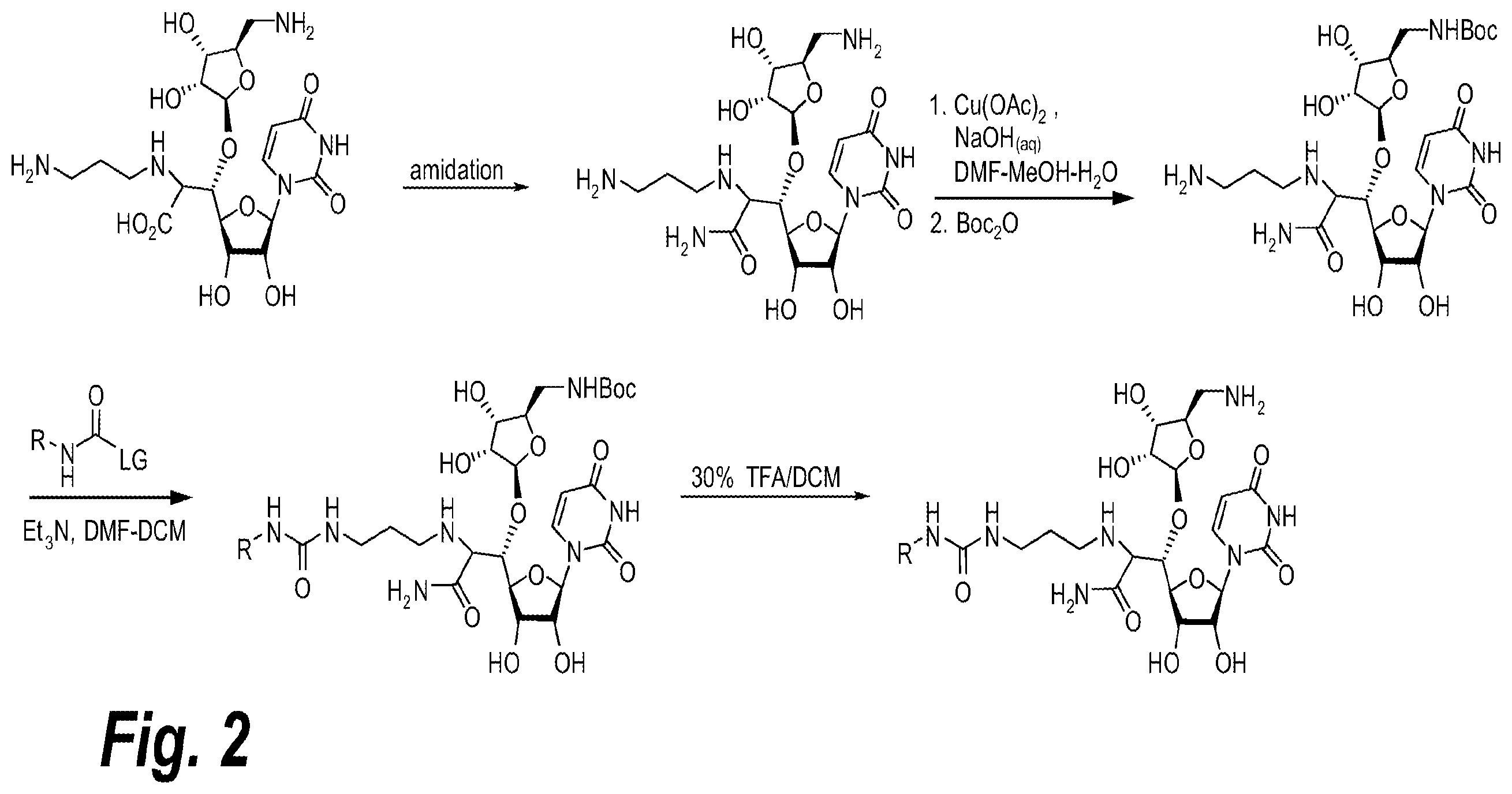Patent US12129272 Figure 2 – Glycosyltransferase inhibitors