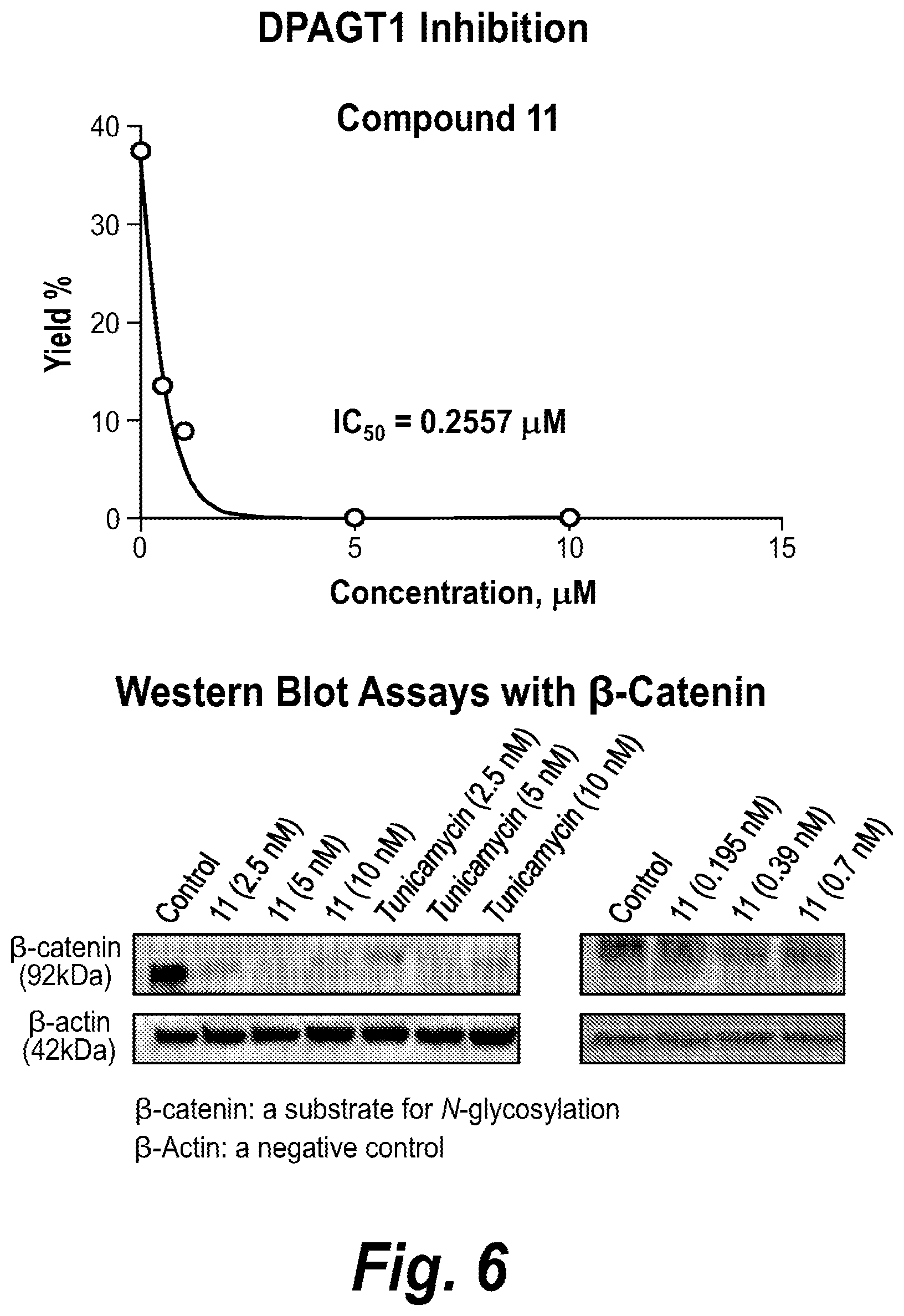 Patent US12129272 Figure 6 – Glycosyltransferase inhibitors