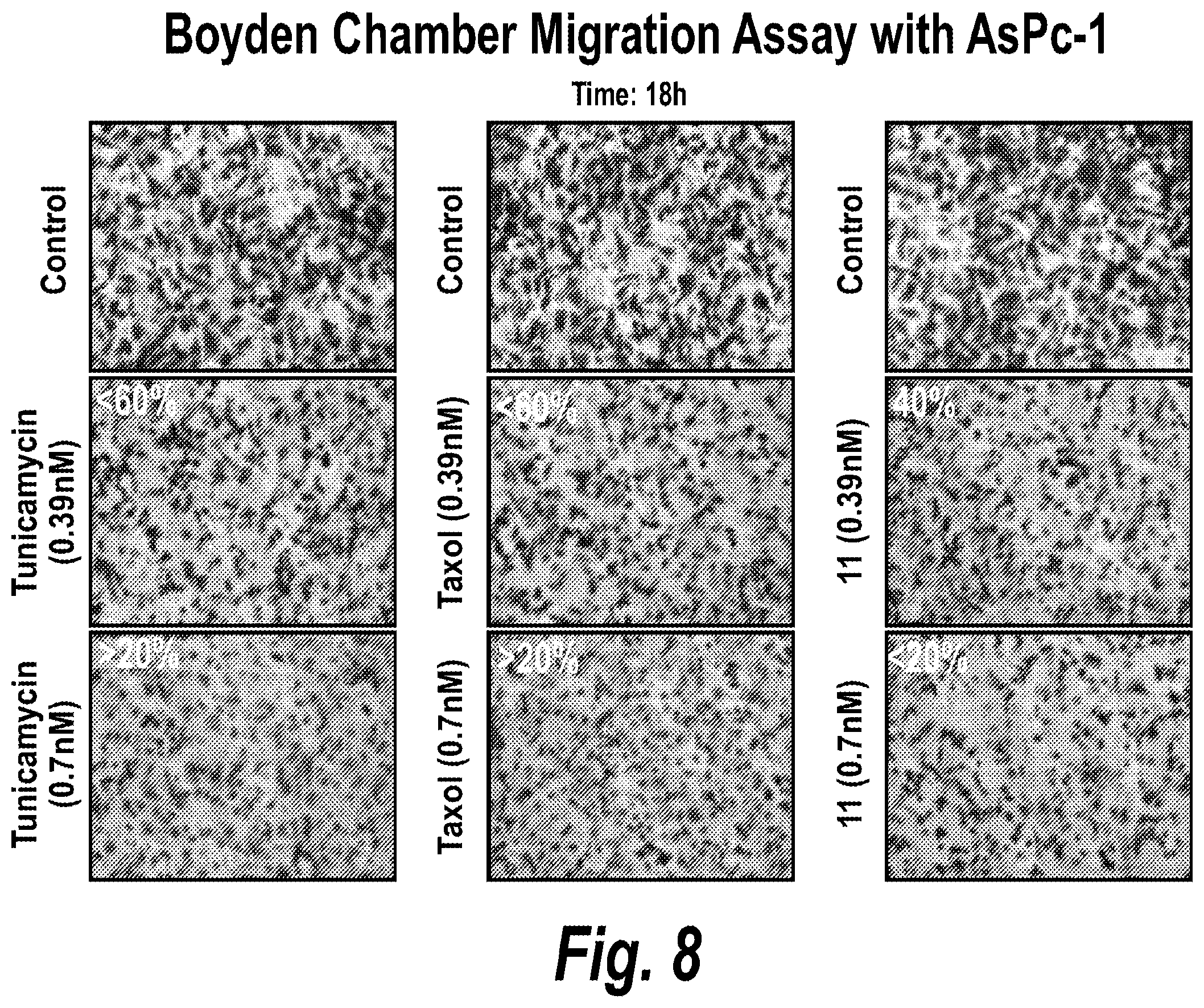 Patent US12129272 Figure 8 – Glycosyltransferase inhibitors