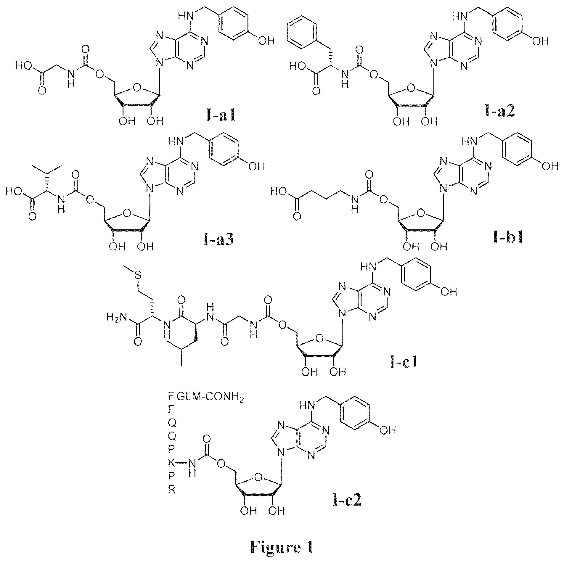 Patent US12129273 Figure 1 – Compound with analgesic effect for use in prevention and treatment of pain