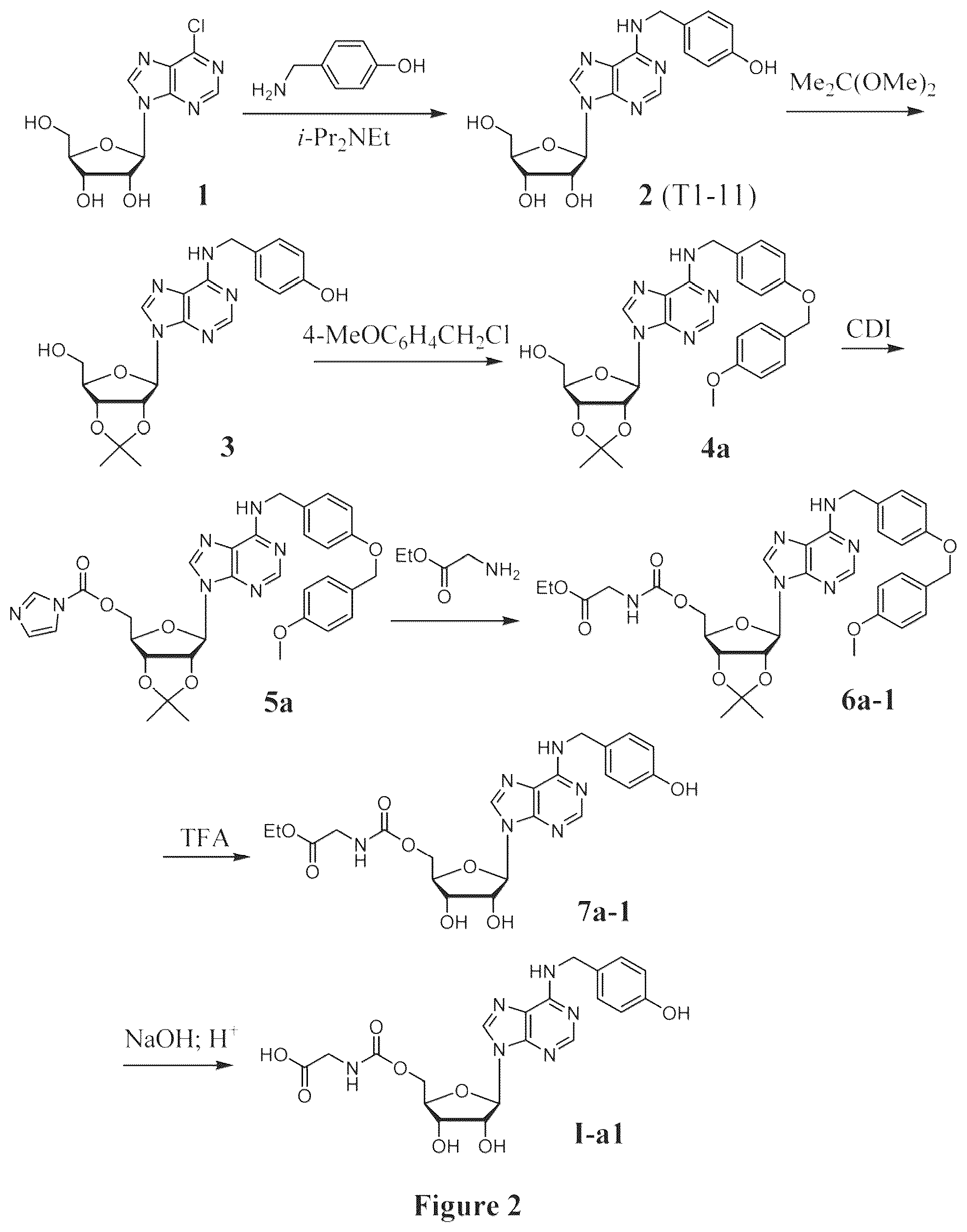 Patent US12129273 Figure 2 – Compound with analgesic effect for use in prevention and treatment of pain