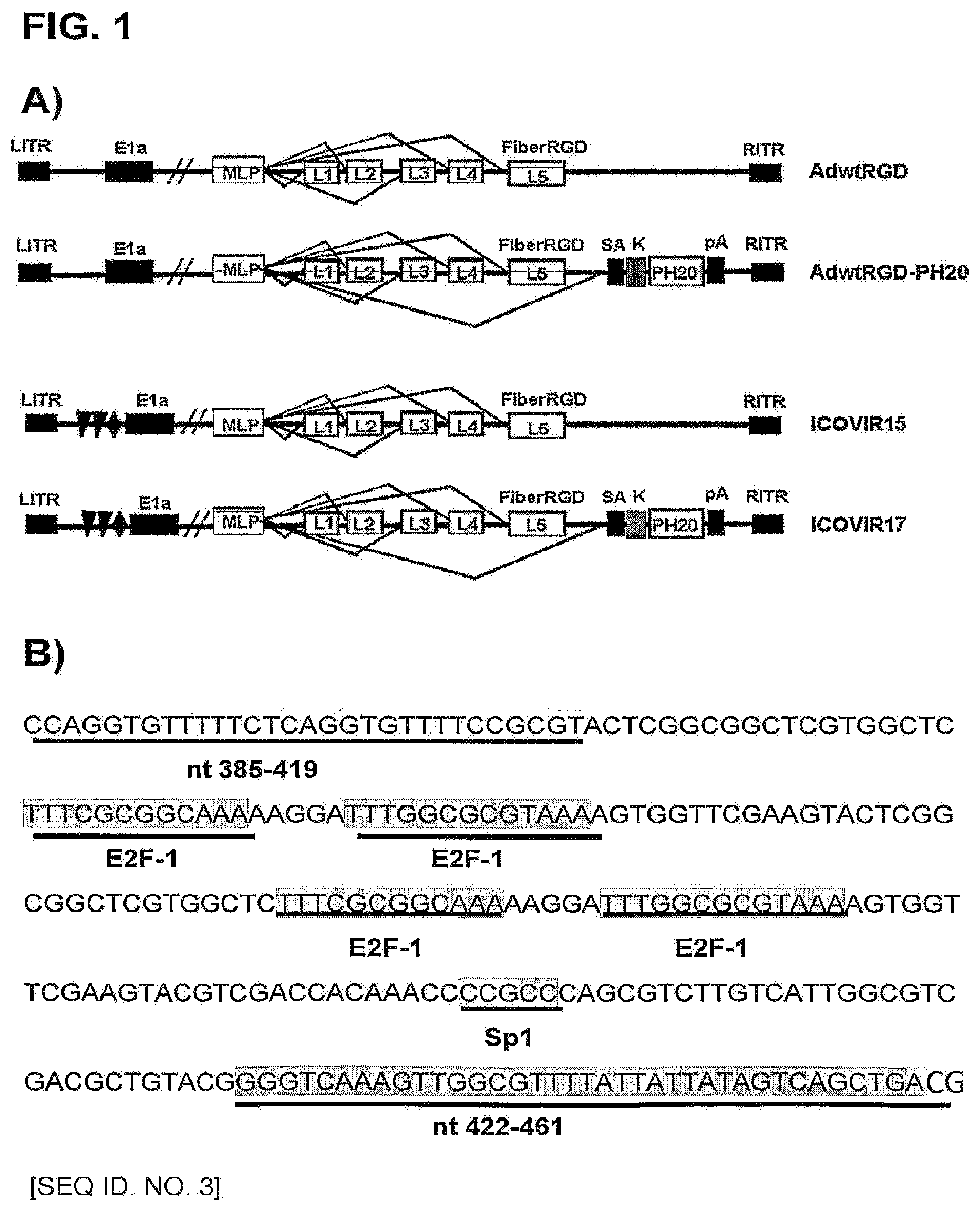 Patent US12129280 — Oncolytic adenoviruses for treating cancer — Figure 1