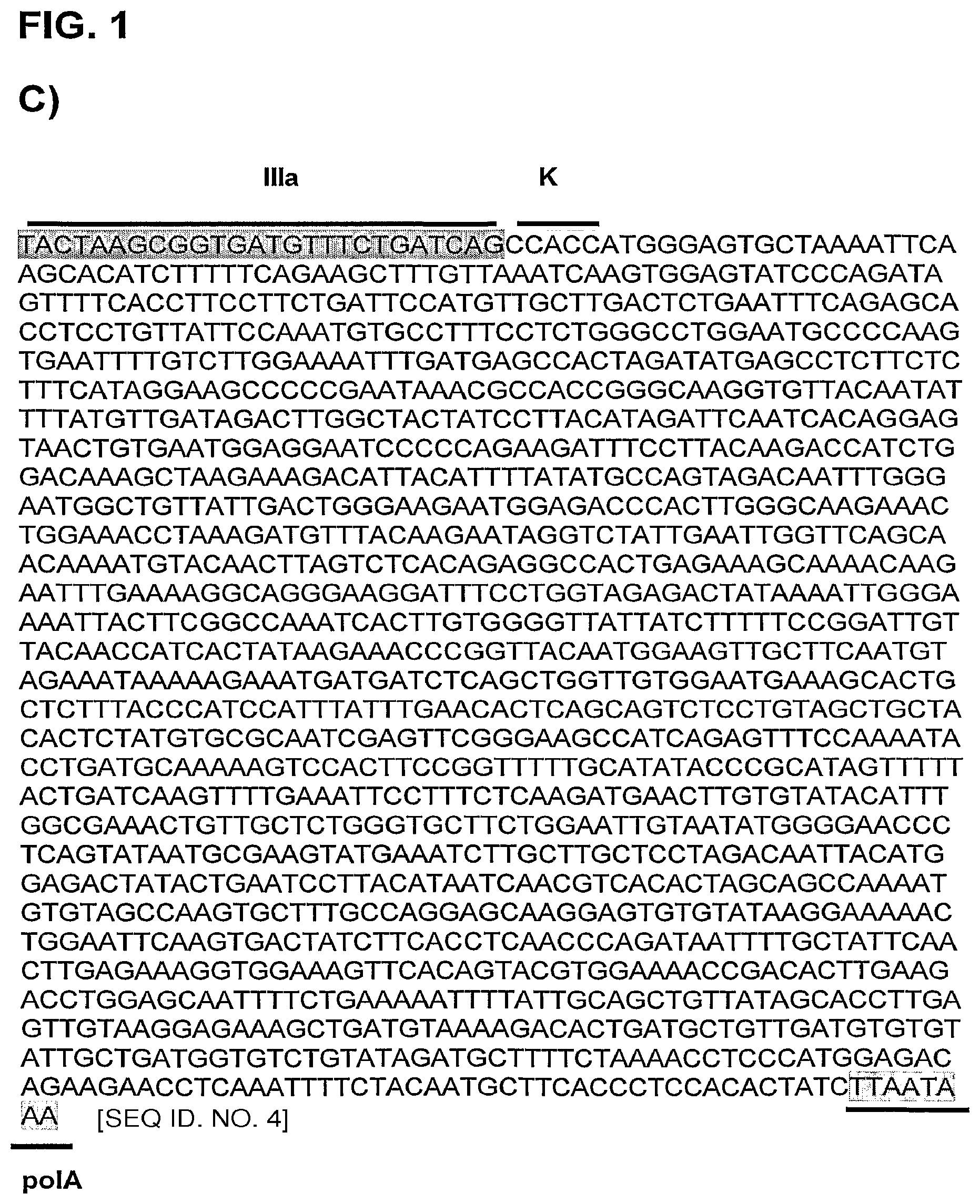Patent US12129280 Figure 2 – Oncolytic adenoviruses for treating cancer