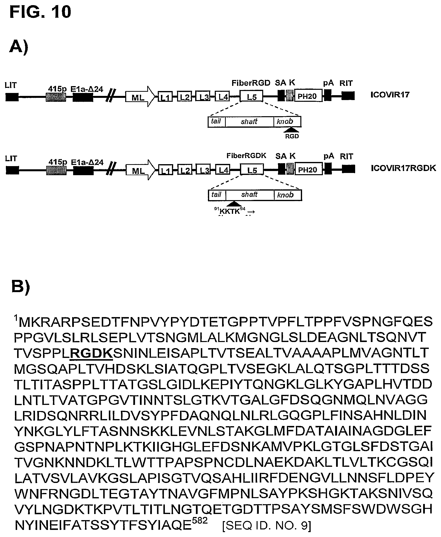 Patent US12129280 Figure 11 – Oncolytic adenoviruses for treating cancer