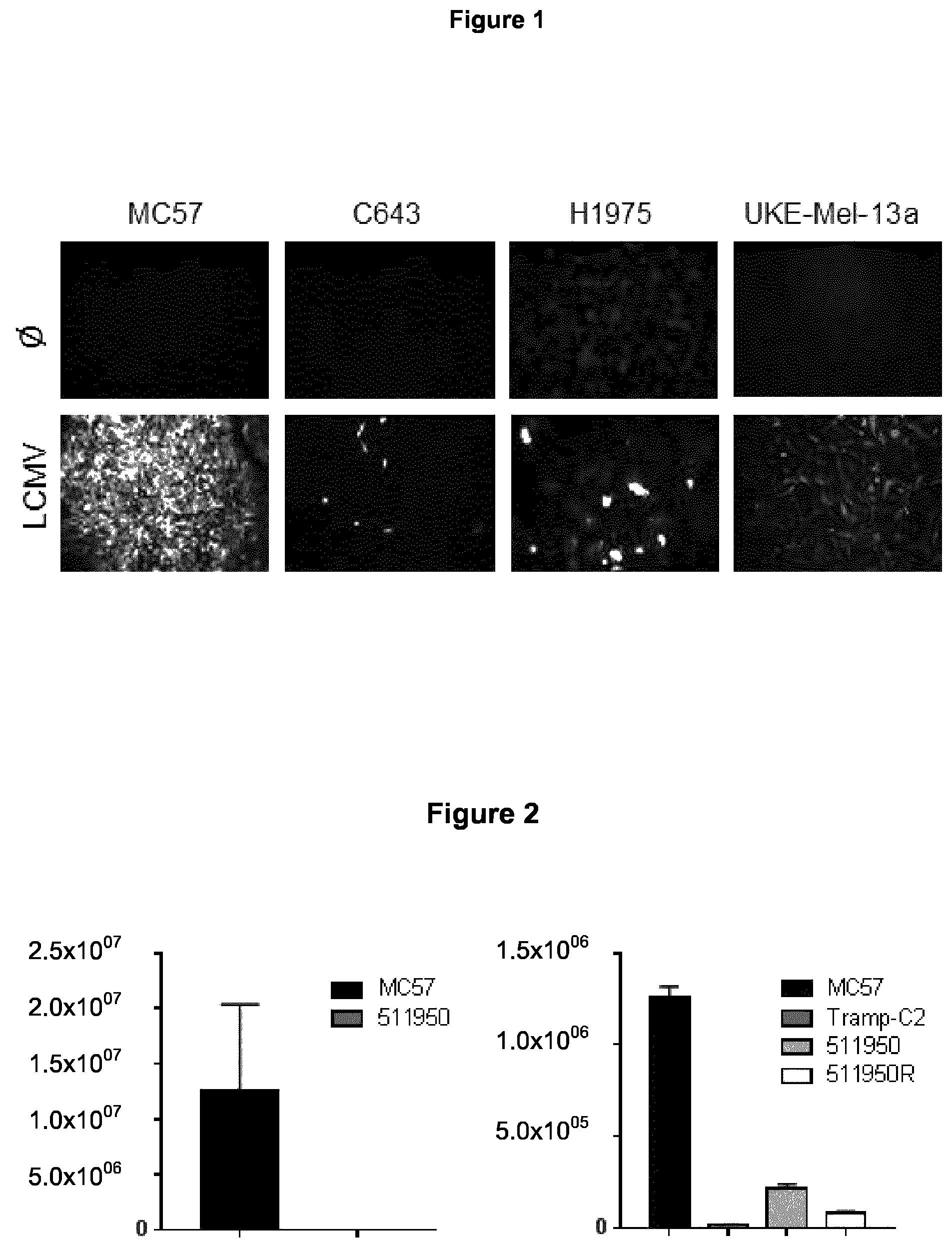 Patent US12129281 Figure 1 – Method for producing an antitumoral arenavirus as well as arenavirus mutants