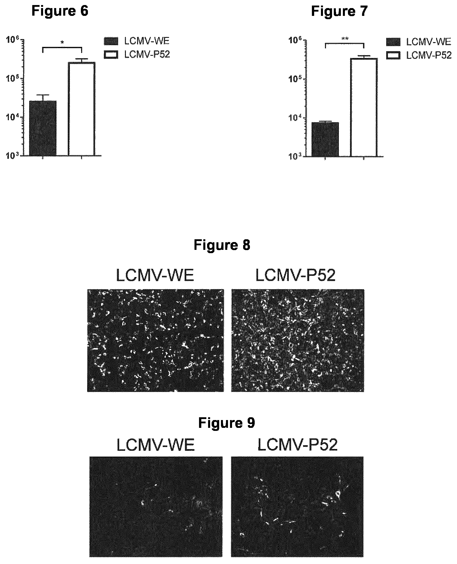 Patent US12129281 Figure 3 – Method for producing an antitumoral arenavirus as well as arenavirus mutants