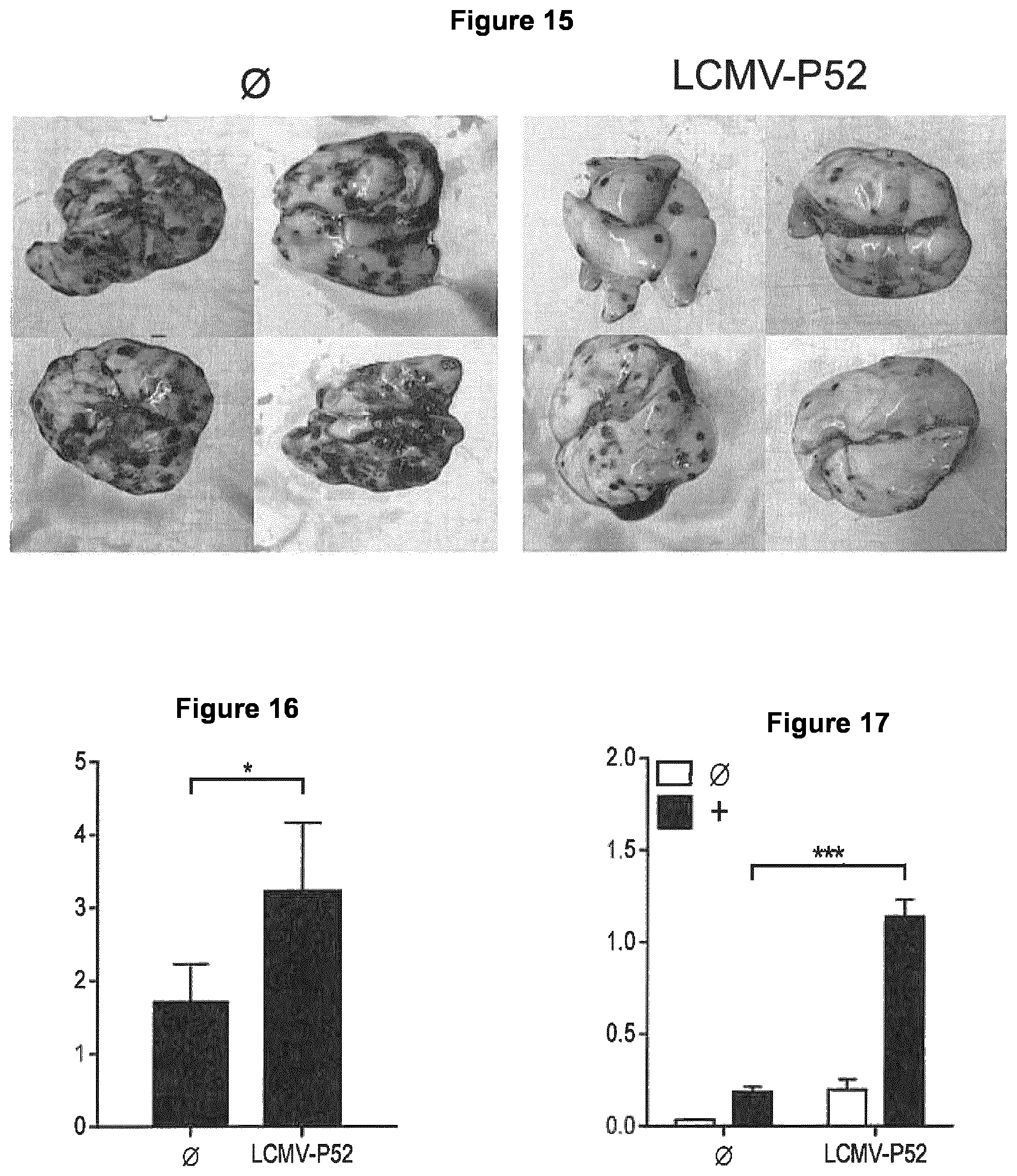 Patent US12129281 Figure 6 – Method for producing an antitumoral arenavirus as well as arenavirus mutants