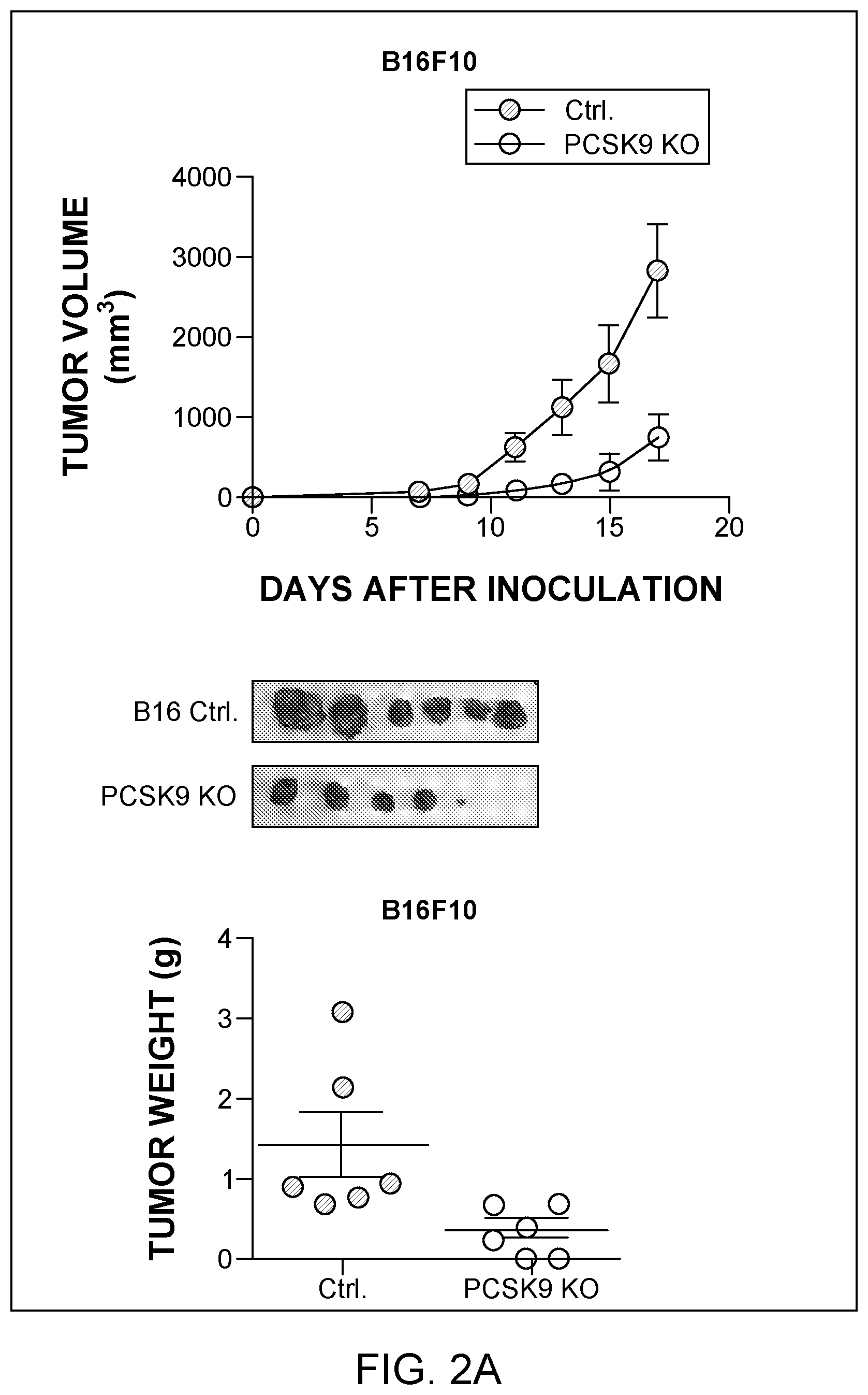 Patent US12129284 Figure 2 – Compositions and methods for the treatment of cancer characterized with PCSK9 expression