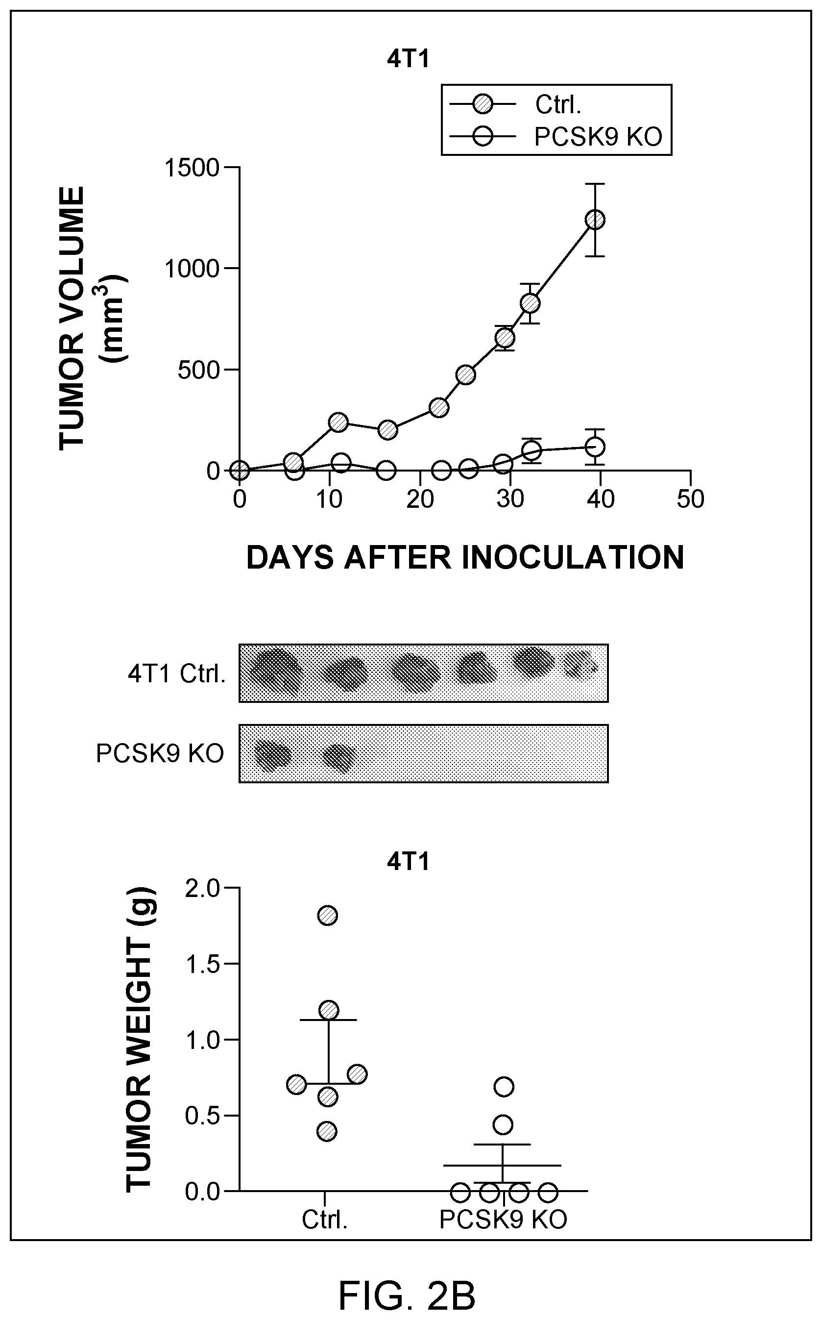Patent US12129284 Figure 3 – Compositions and methods for the treatment of cancer characterized with PCSK9 expression