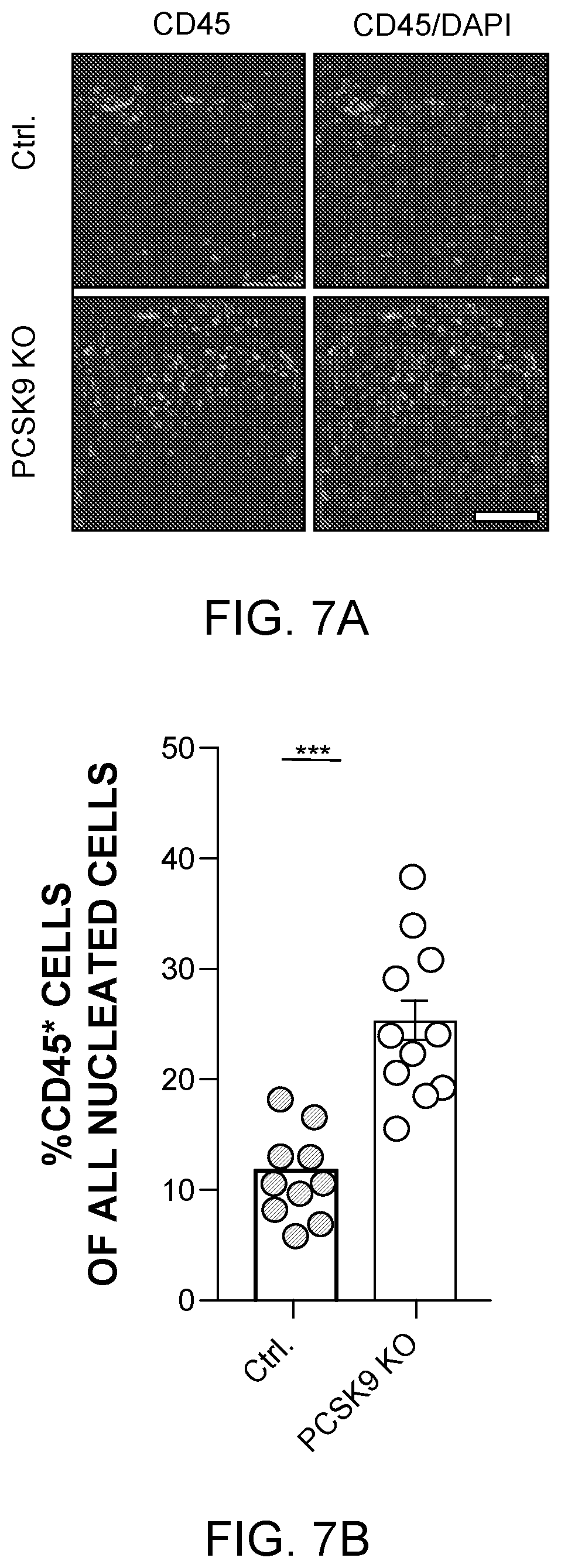 Patent US12129284 Figure 20 – Compositions and methods for the treatment of cancer characterized with PCSK9 expression