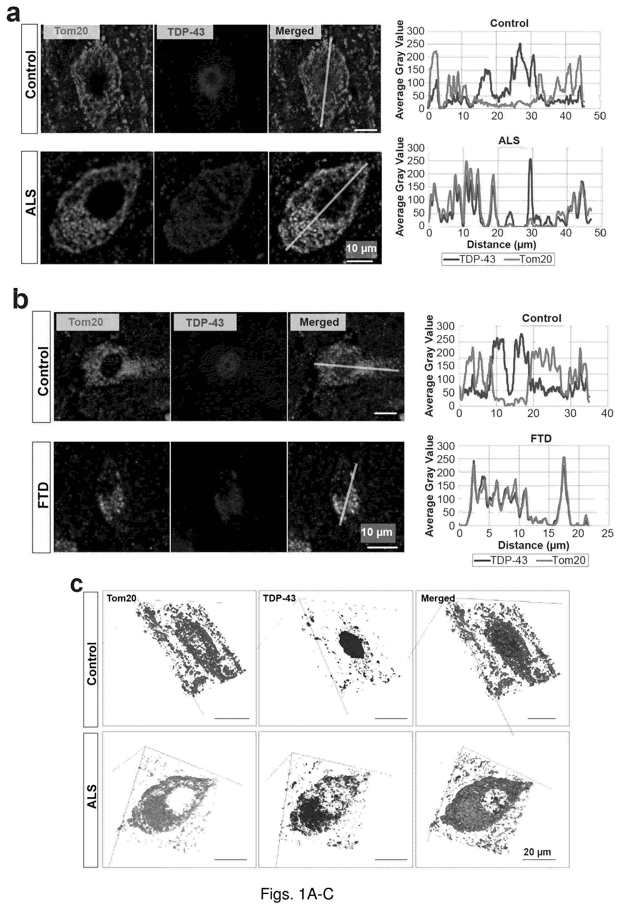 Patent US12129285 Figure 1 – TDP-43 mitochondrial localization inhibitor for the treatment of neurogenerative disease