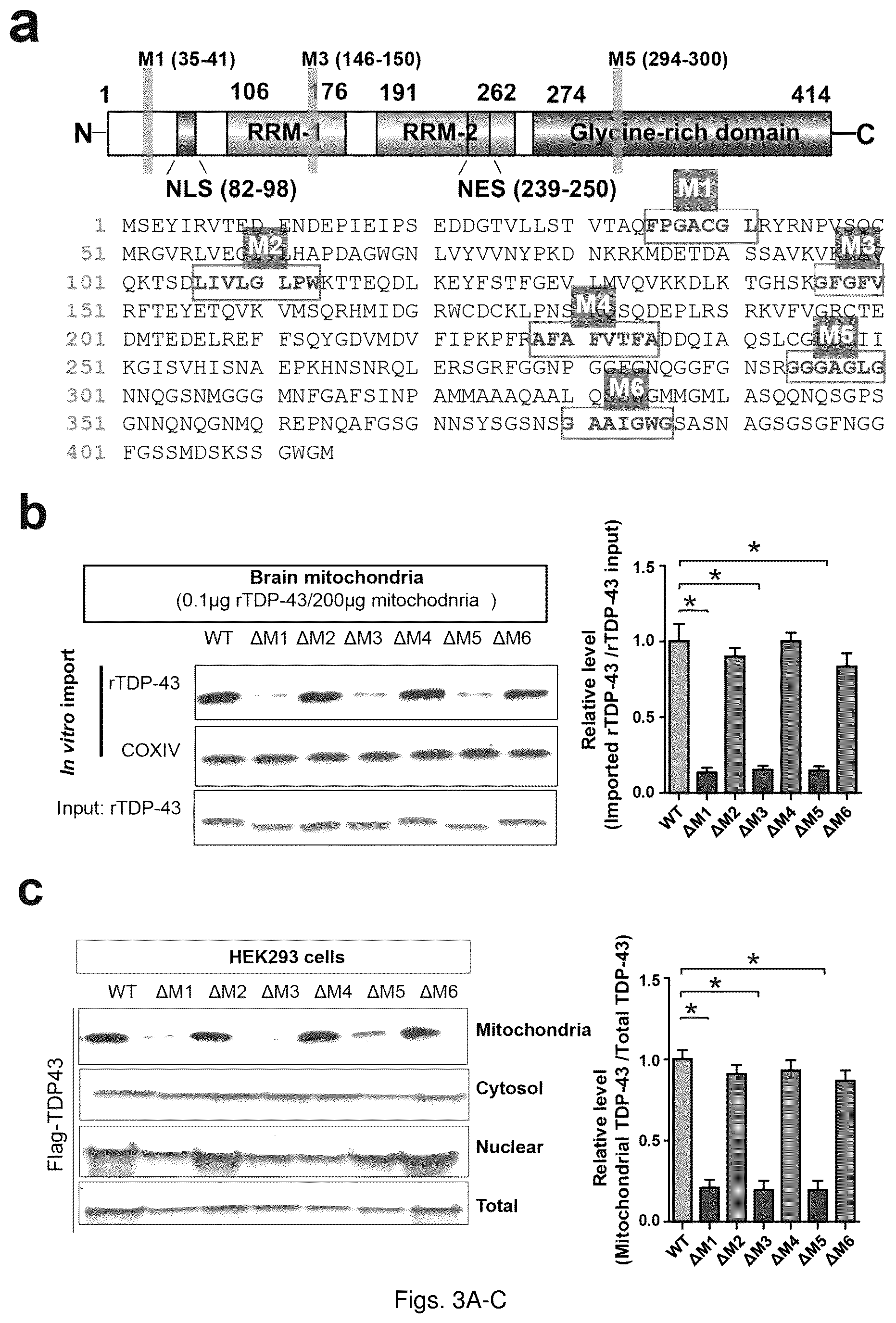 Patent US12129285 Figure 7 – TDP-43 mitochondrial localization inhibitor for the treatment of neurogenerative disease