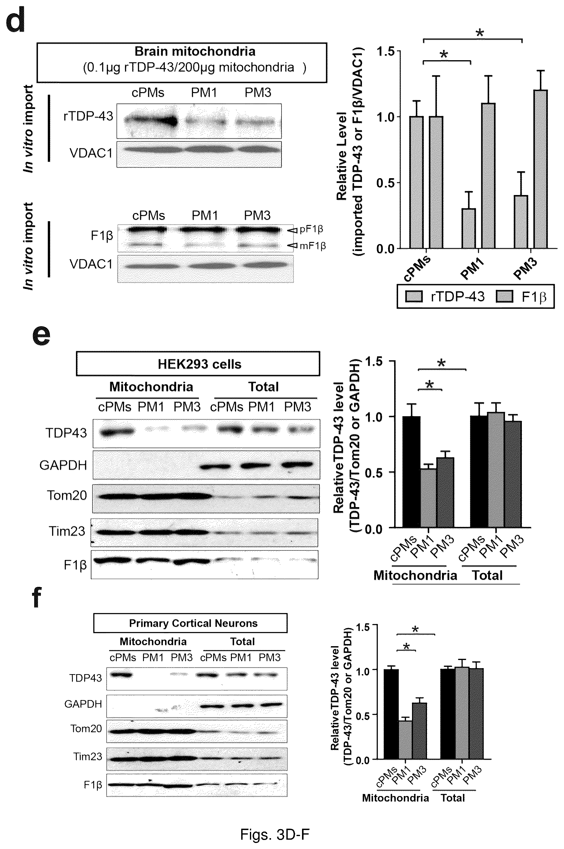 Patent US12129285 Figure 8 – TDP-43 mitochondrial localization inhibitor for the treatment of neurogenerative disease